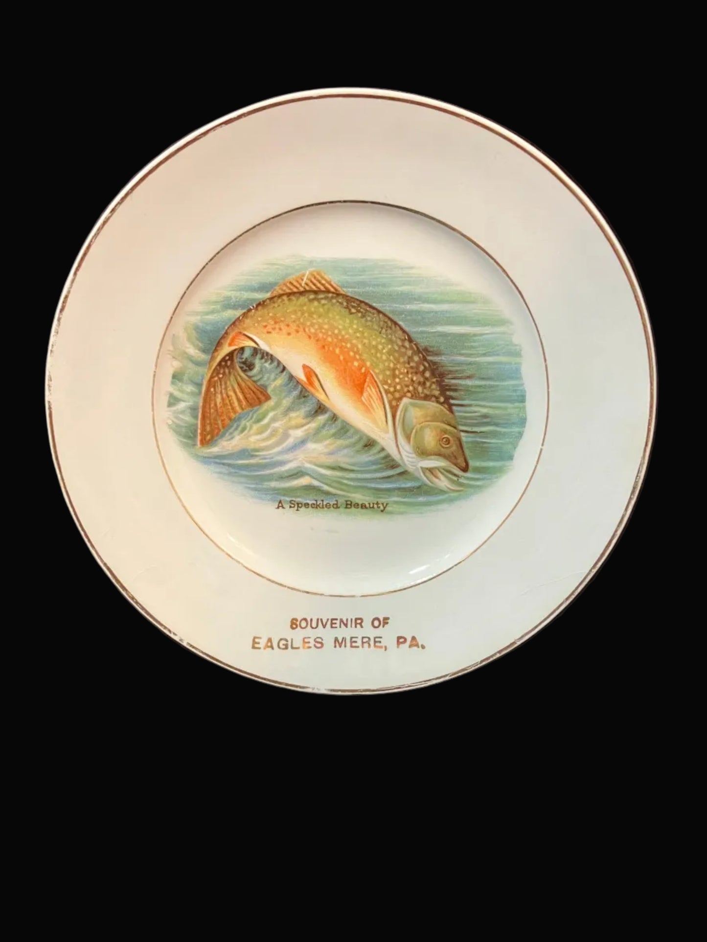 A vintage ceramic souvenir plate featuring a painted trout in the center and the text 'SOUVENIR OF EAGLES MERE, PA.' printed below, displayed against a dark background.