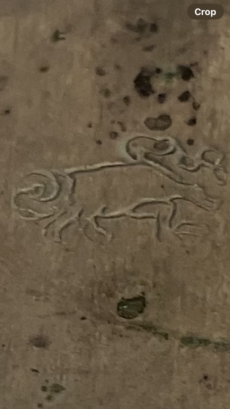 Antique Copper Coated Sugar Shaker Muffineer