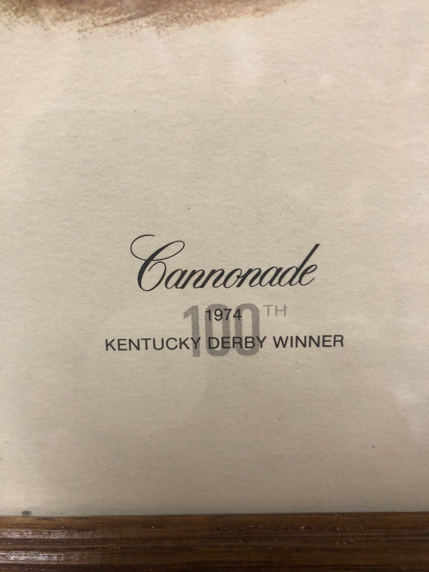 100th Kentucky Derby winner Cannonade