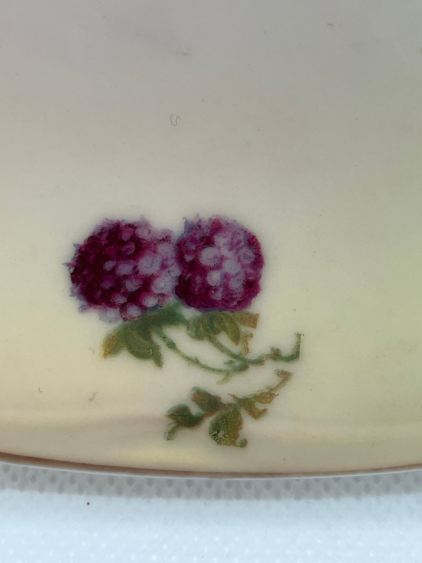 Antique J & C Louise Bavaria berry