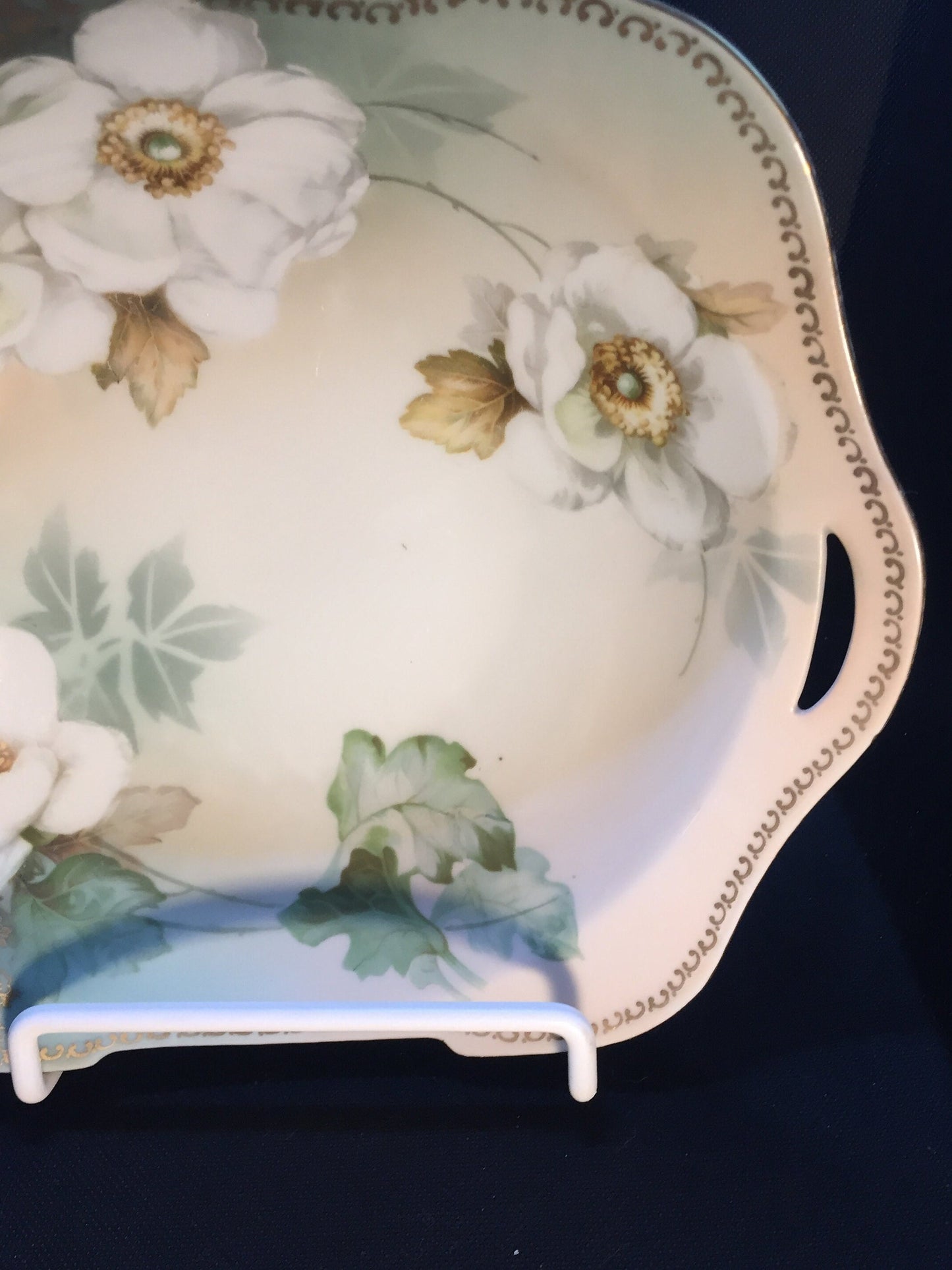 Antique R&S Hand painted Bowl Side View