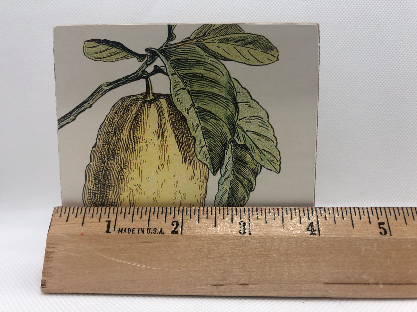 Farmhouse wooden block sign lemon measurement