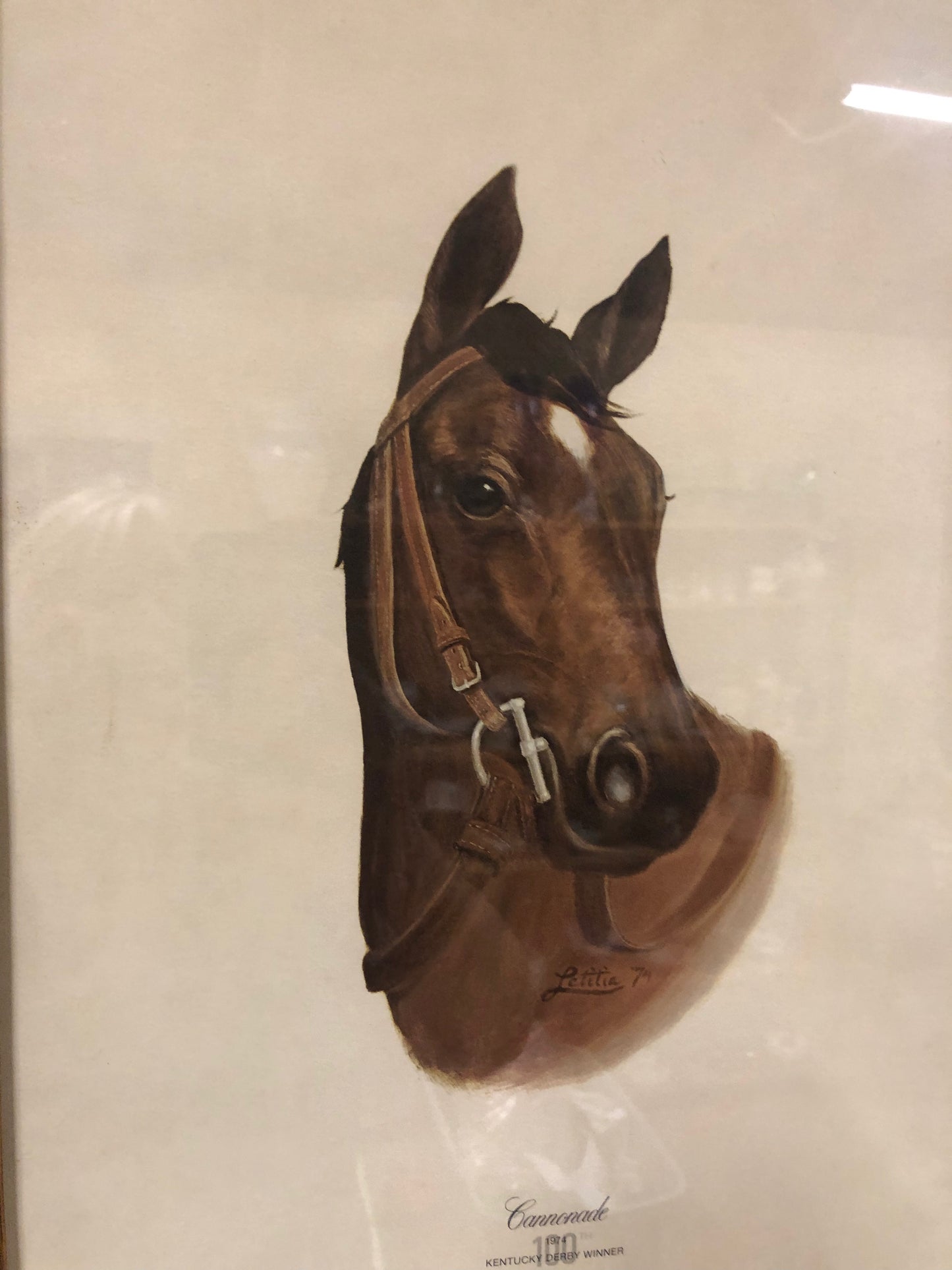 Vintage 1974 Kentucky Derby Winner "Cannonade" Print – L.G. Gosney Collection