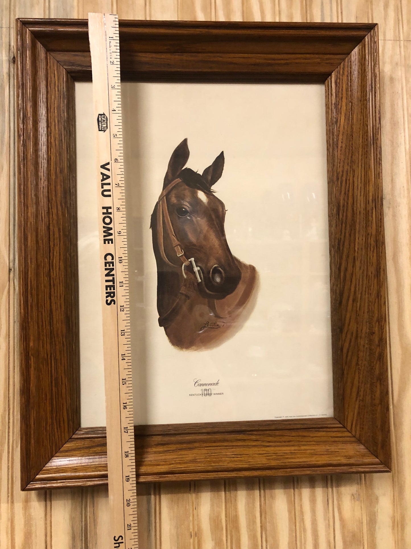 Vintage 1974 Kentucky Derby Winner "Cannonade" Print – L.G. Gosney Collection