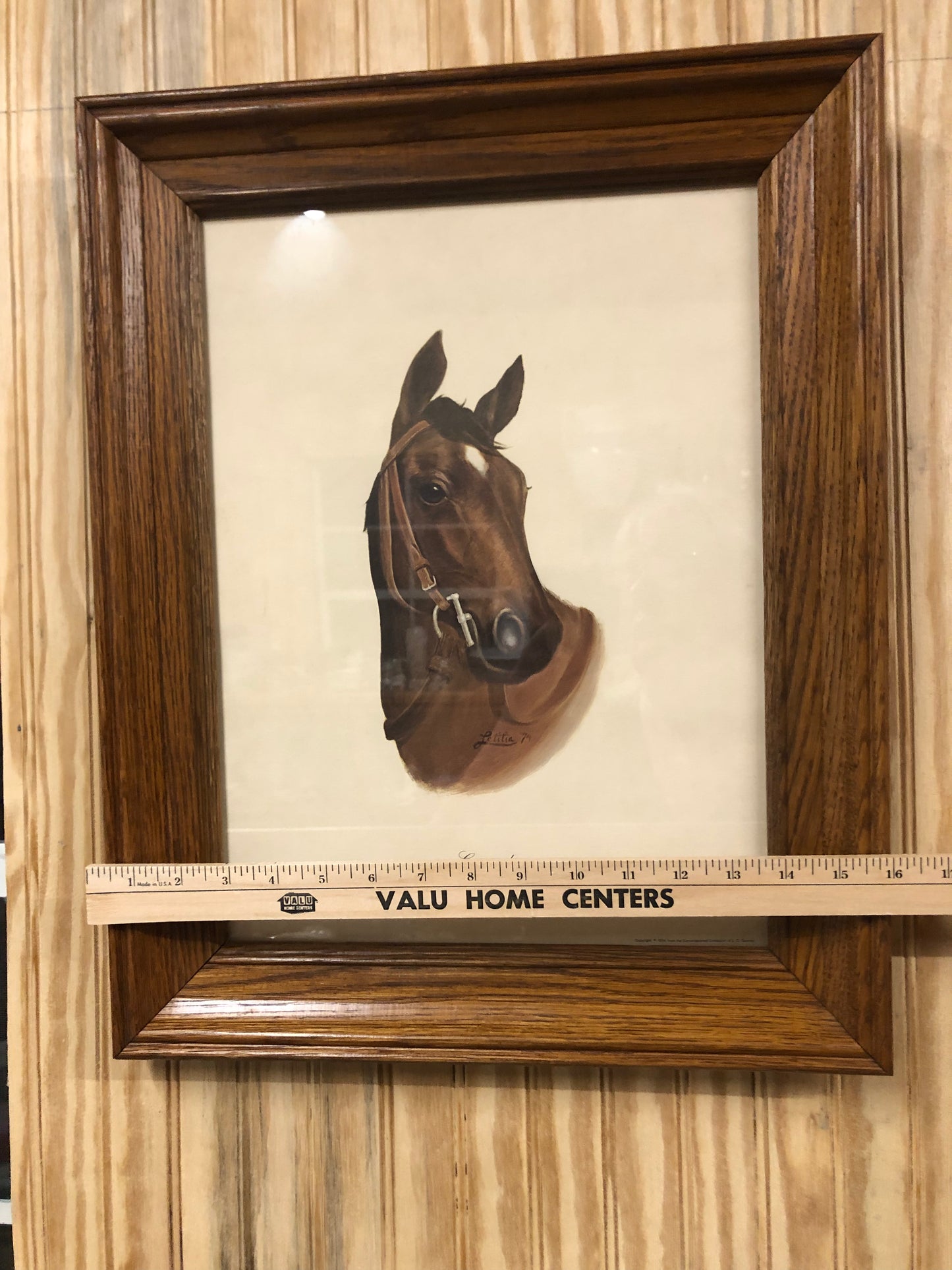 Vintage 1974 Kentucky Derby Winner "Cannonade" Print – L.G. Gosney Collection