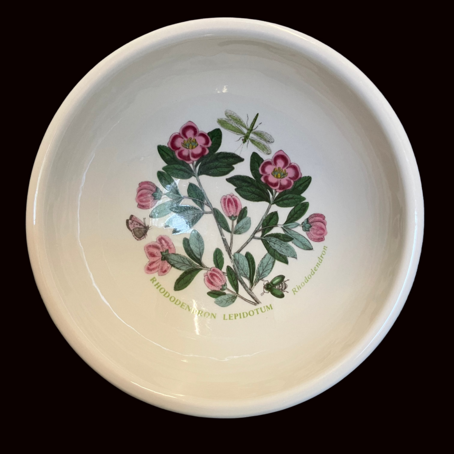 Vintage Portmeirion Botanic Garden Footed Bowl – Rhododendron