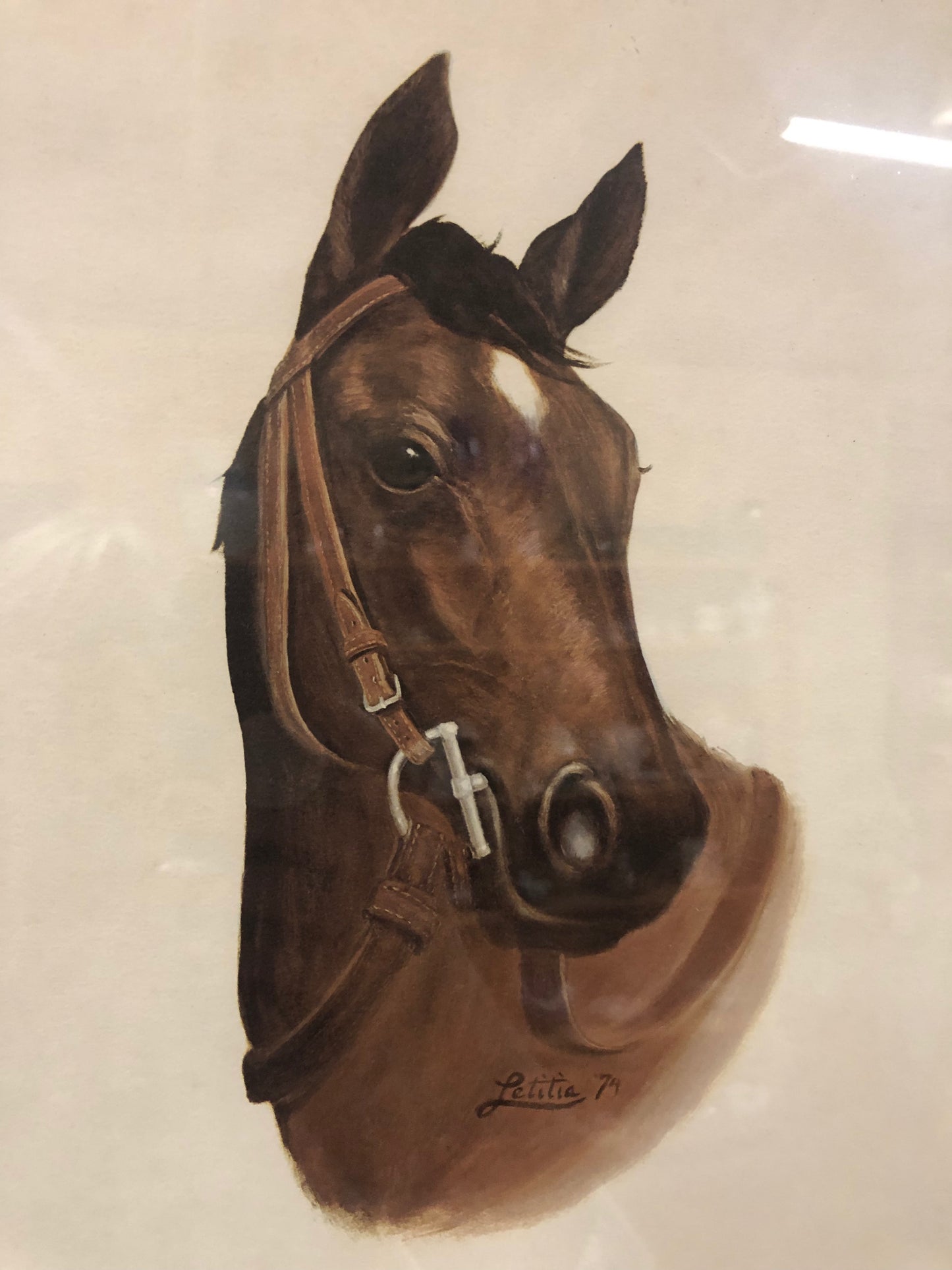 Vintage framed horse print of bay thoroughbred racehorse