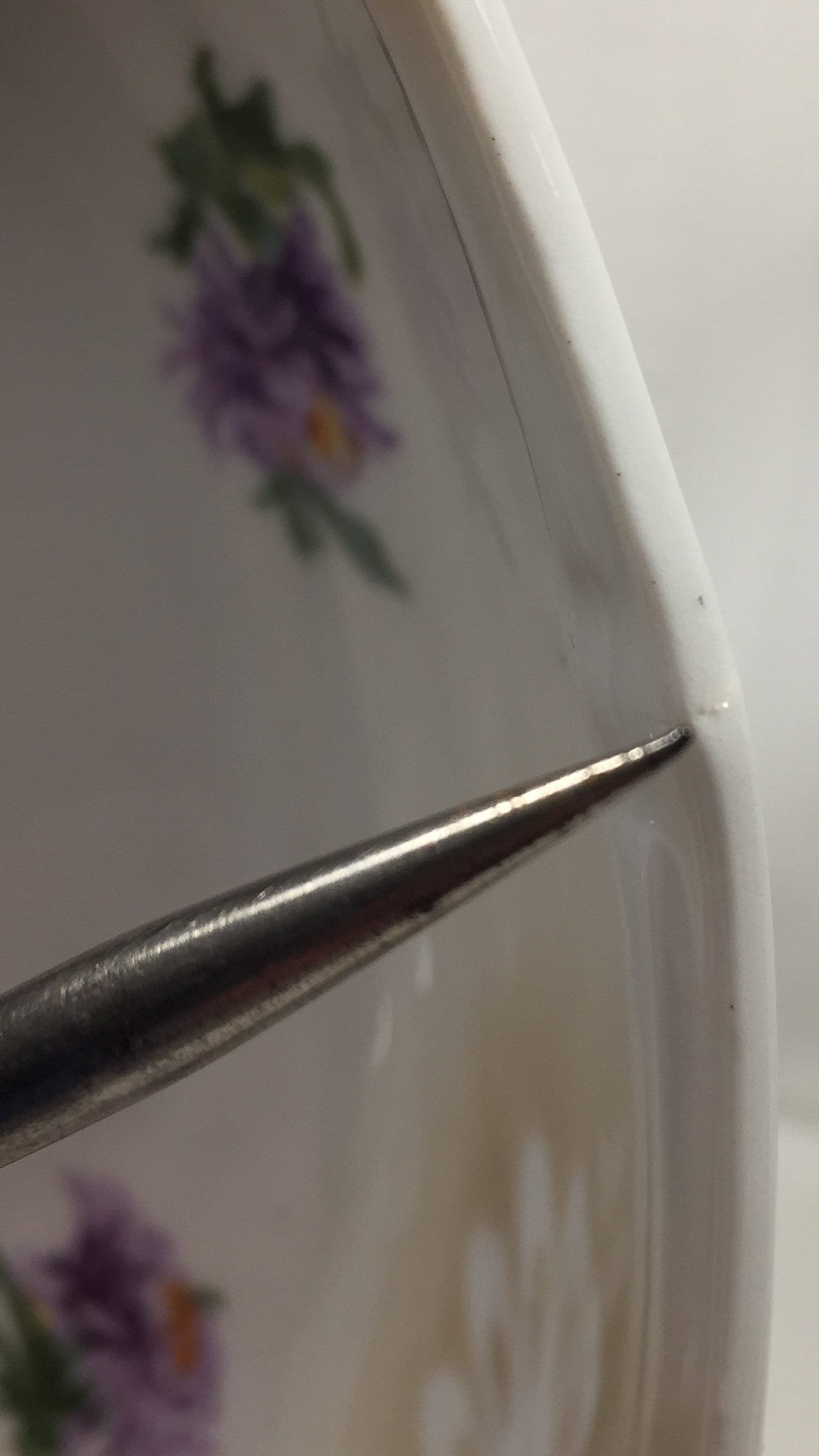 Gorgeous Antique Bavarian Bowl with Purple Mums