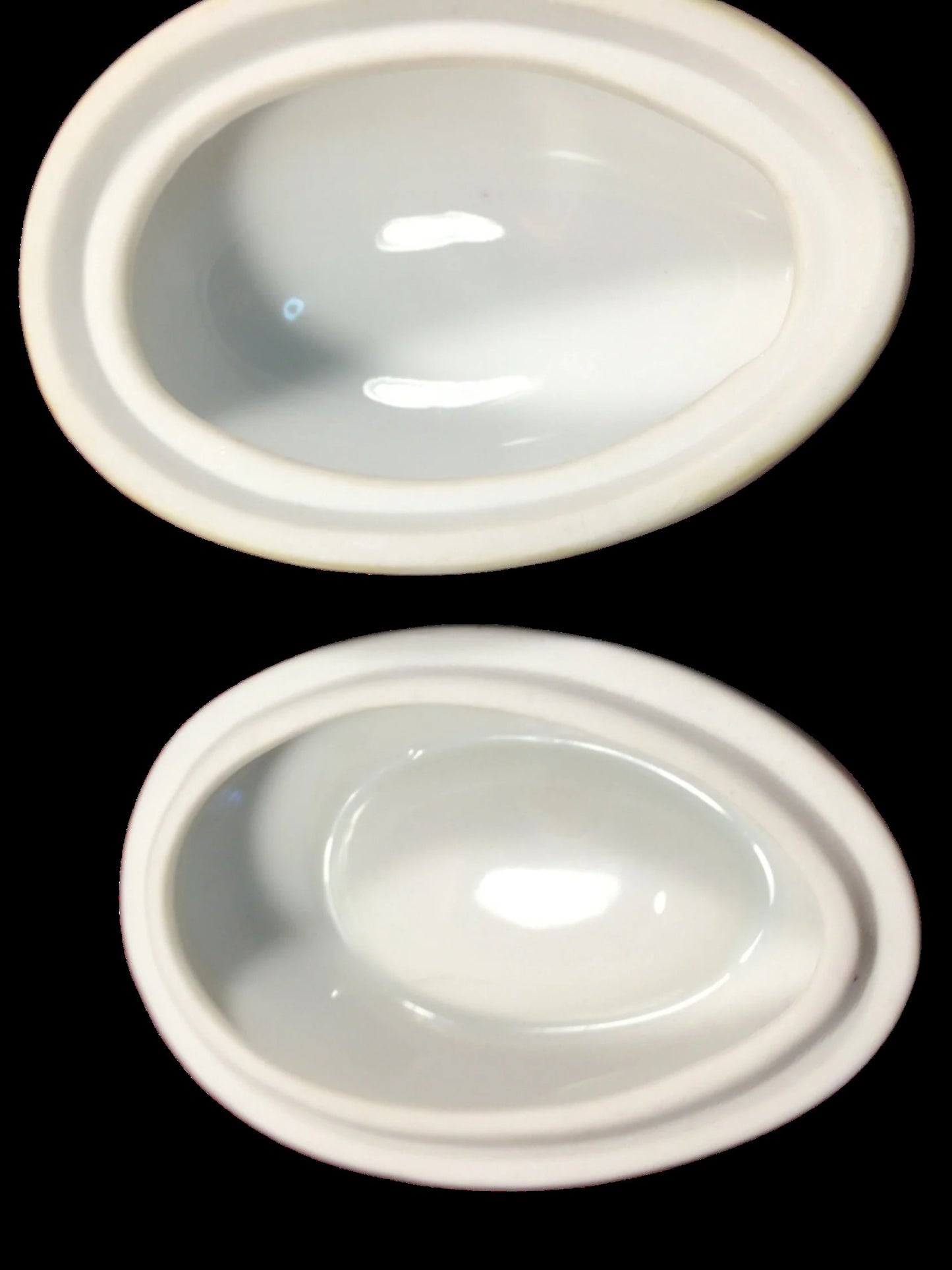 Beautifully Hand painted Egg with Yellow Roses