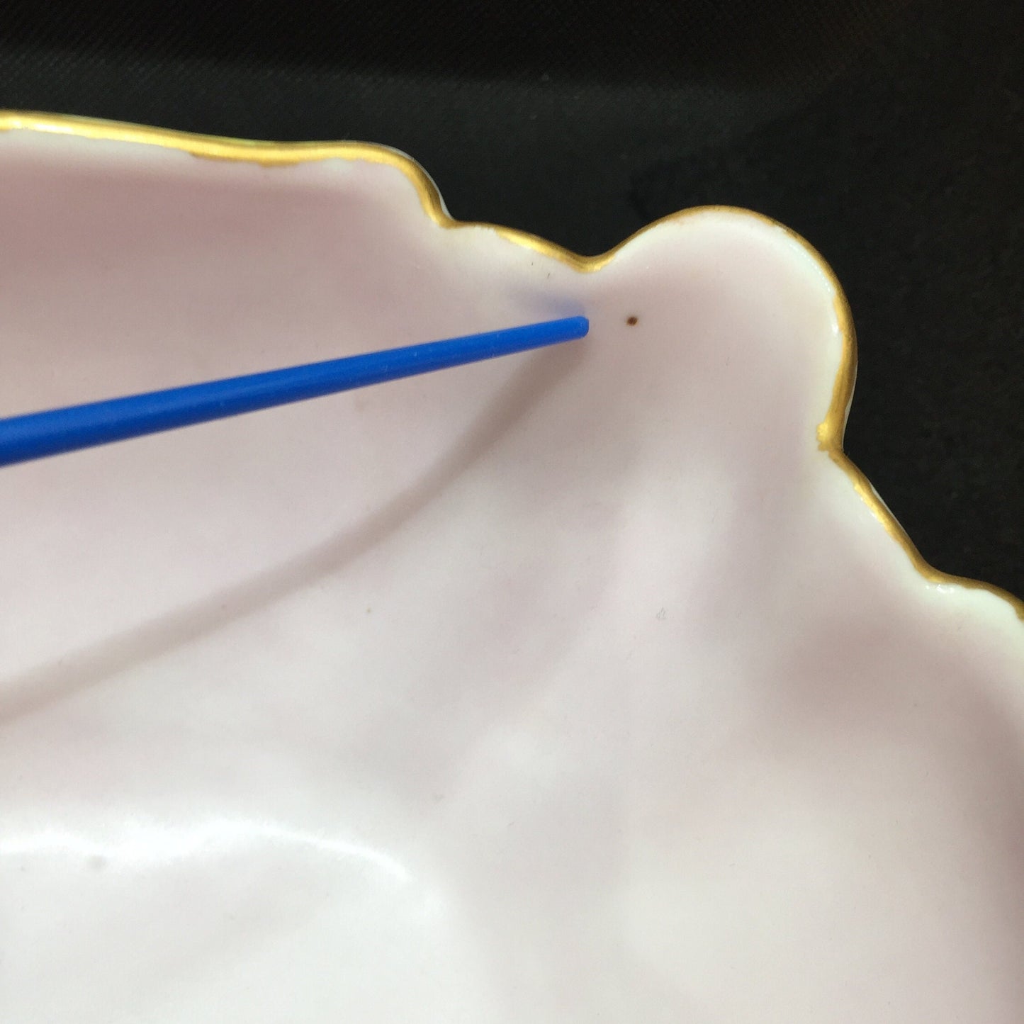 Wonderful Hand Painted Limoges Bowl by Haviland