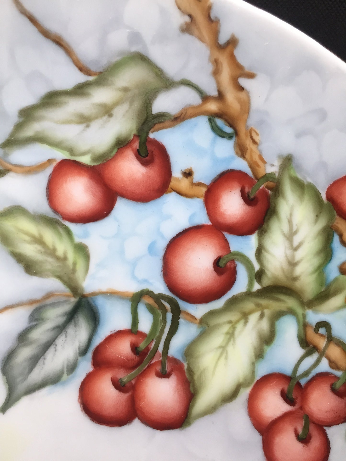 Hand painted Schumann of Germany Cherry Plate