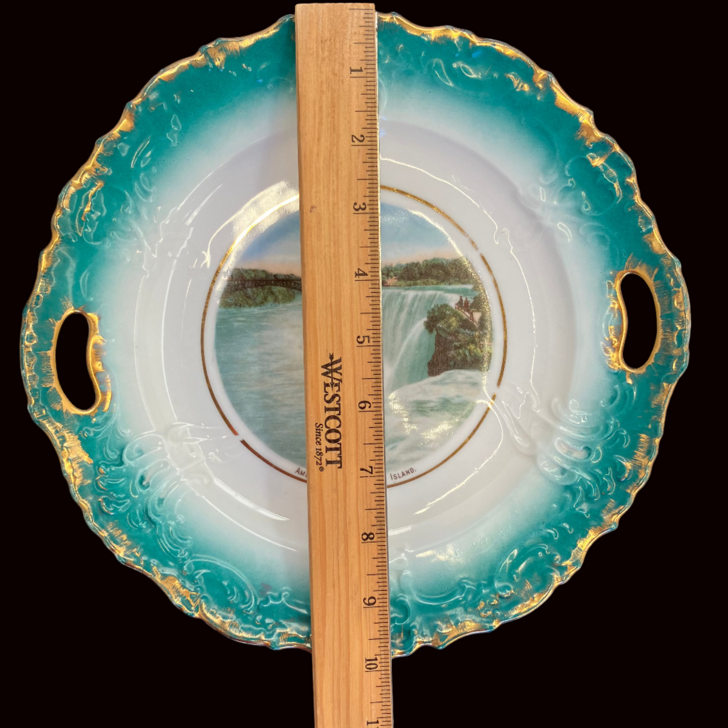 Vintage Niagara Falls China Plate