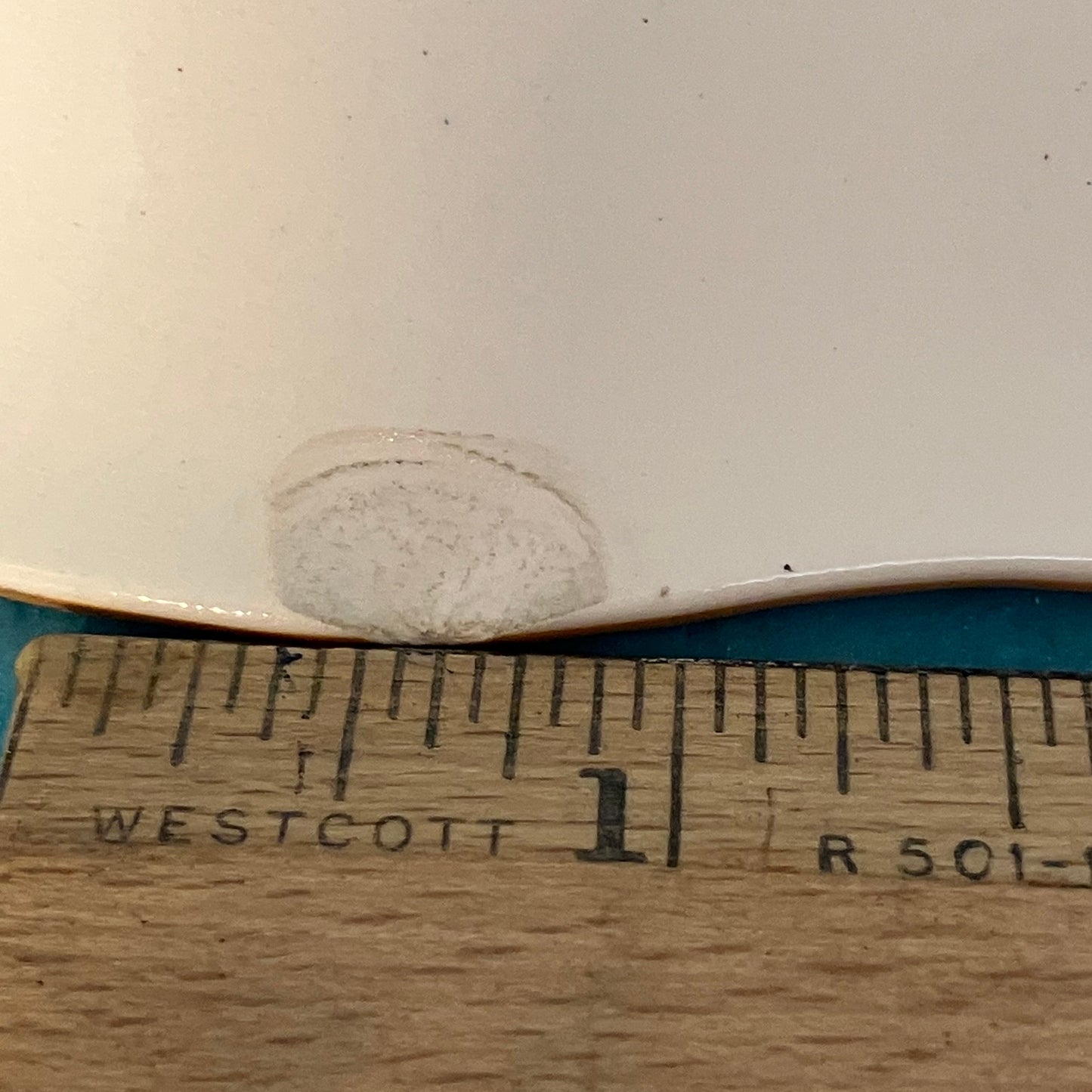 Vintage Spode Gamebird “Grouse” Dinner Plate – Upland Series with chip on back