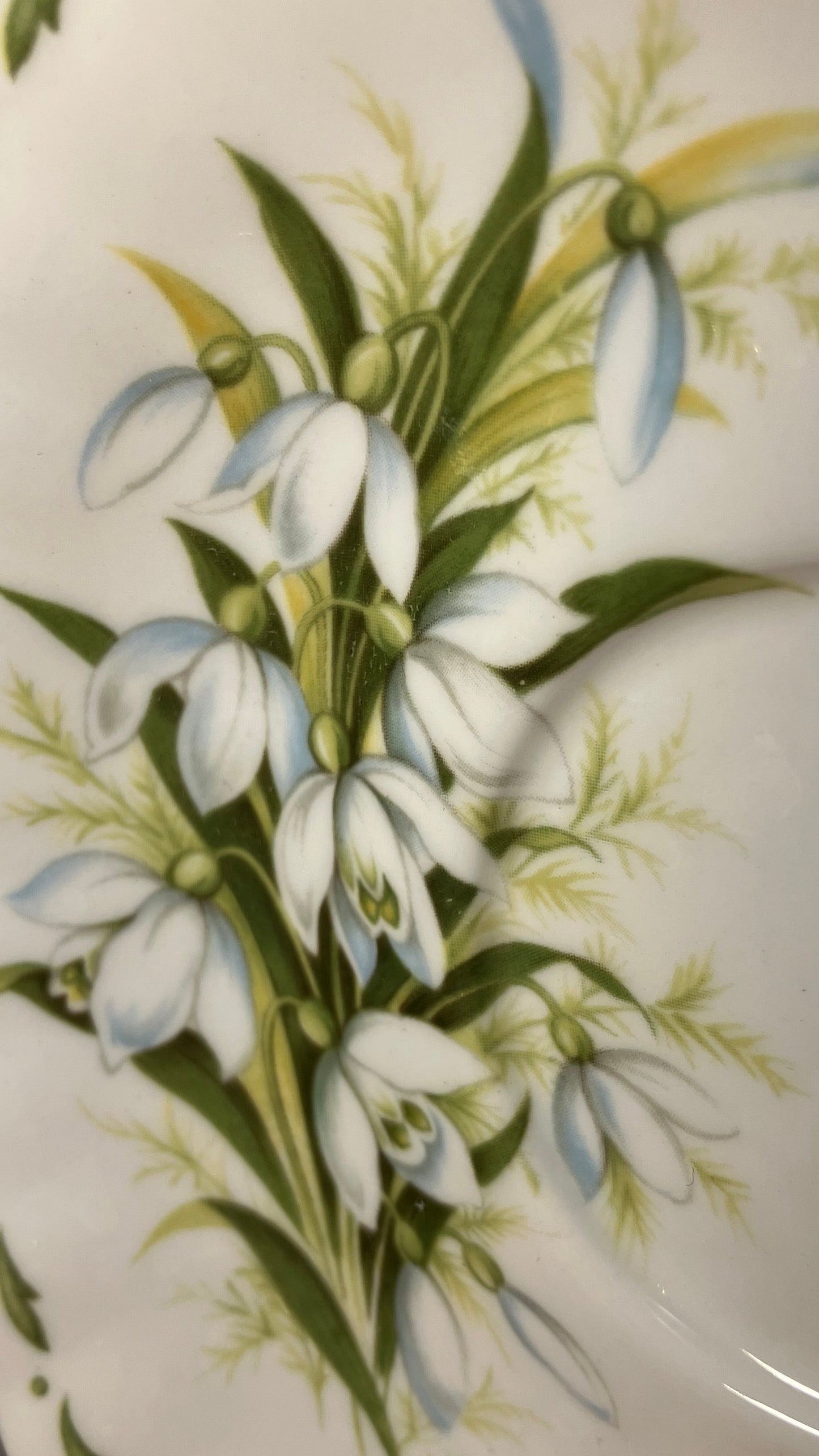 Vintage Royal Albert Snowdrop Cup & Saucer – January Flower of the Month