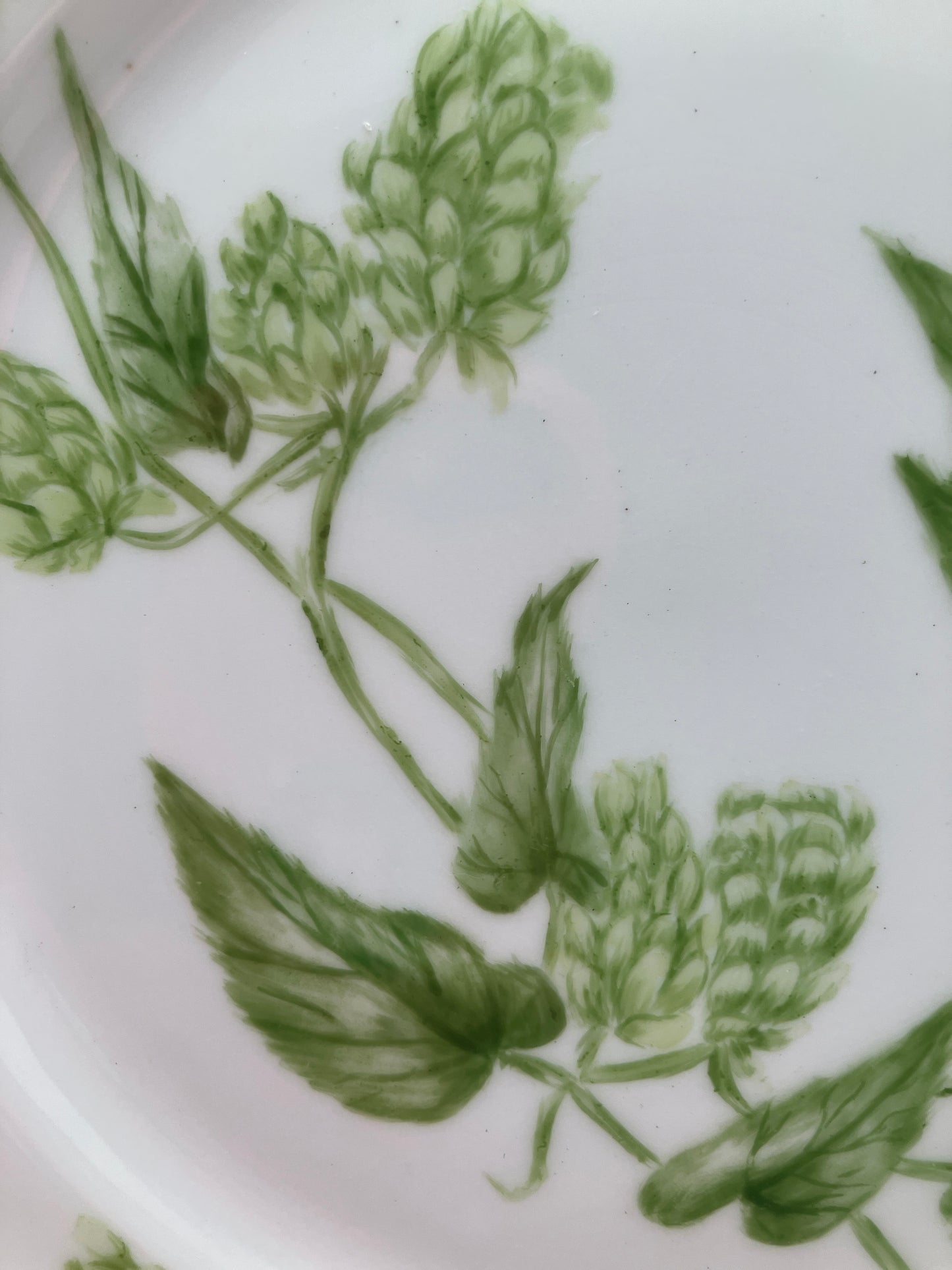 Antique Limoges Plate - Lewis Straus & Sons - Hops Design in Green - 8.5 Inches
