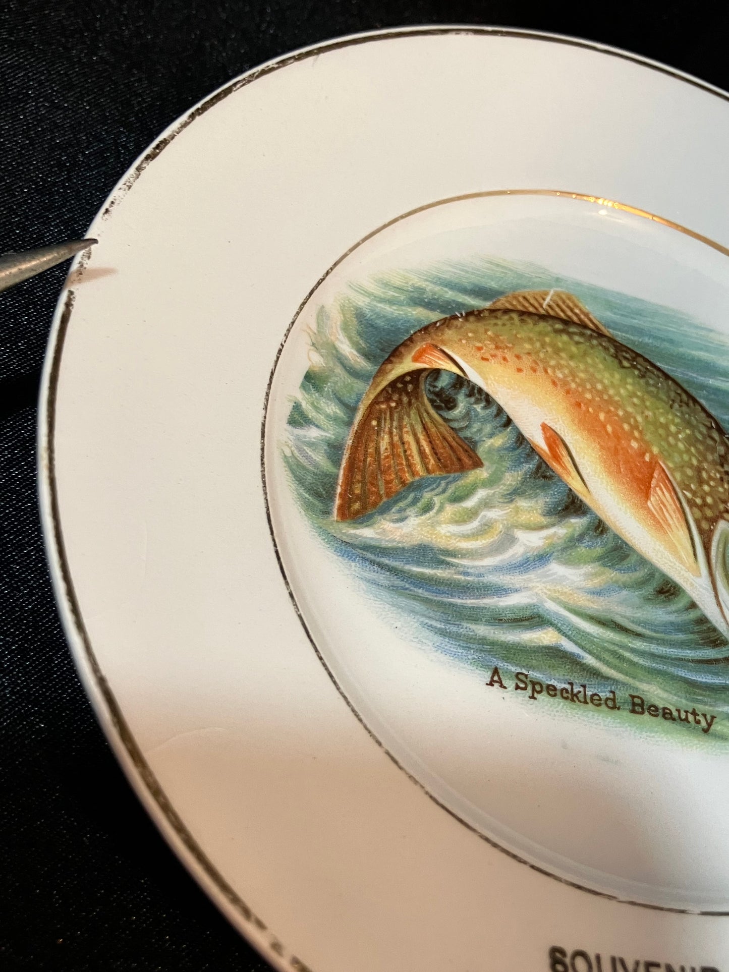 Antique Harker Pottery Eagles Mere PA Souvenir Plate – Speckled Beauty Trout – Early Semi Porcelain Fish Cabinet Plate