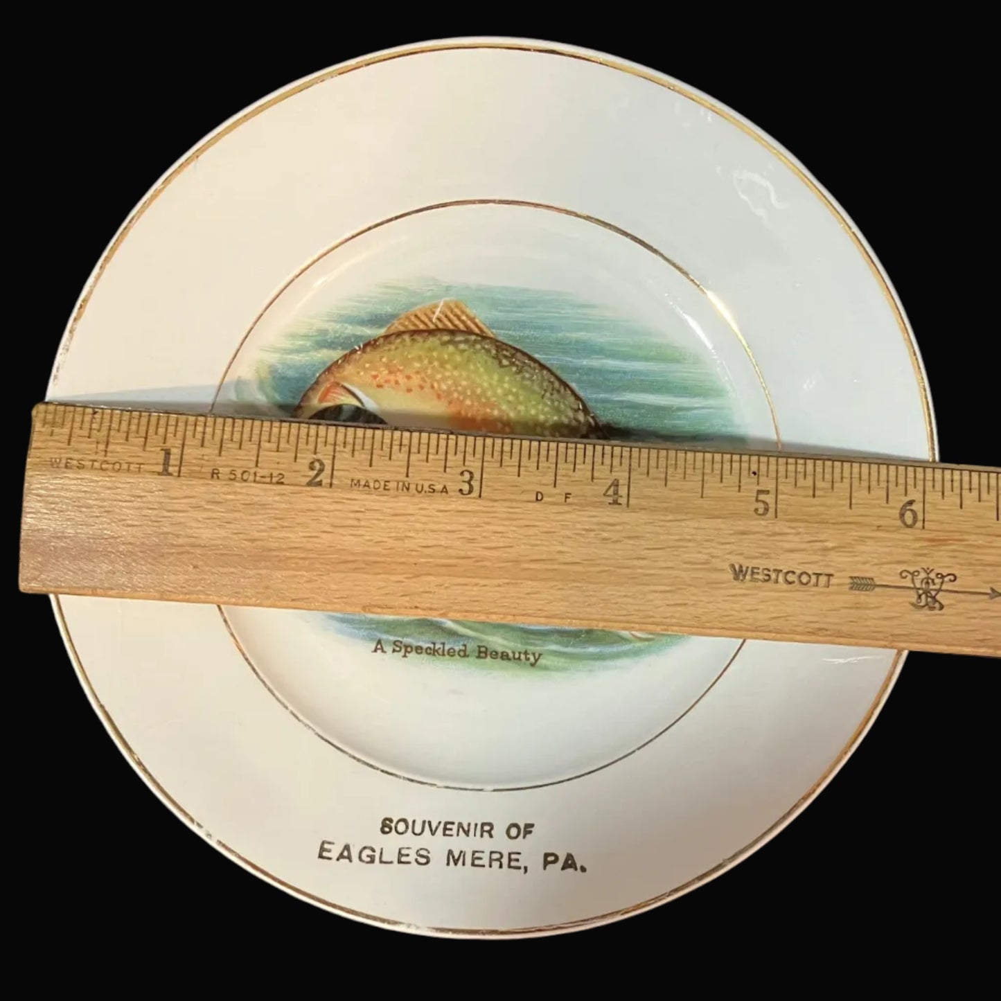 Antique Harker Pottery Eagles Mere PA Souvenir Plate – Speckled Beauty Trout – Early Semi Porcelain Fish Cabinet Plate
