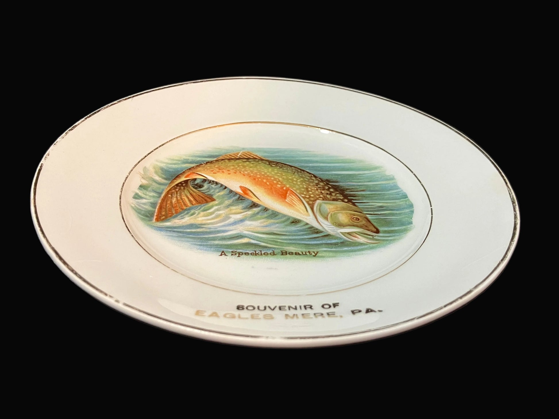 A vintage ceramic souvenir plate featuring a painted fish illustration and the text 'Souvenir of Eagles Mere, Pa.' on a black background.