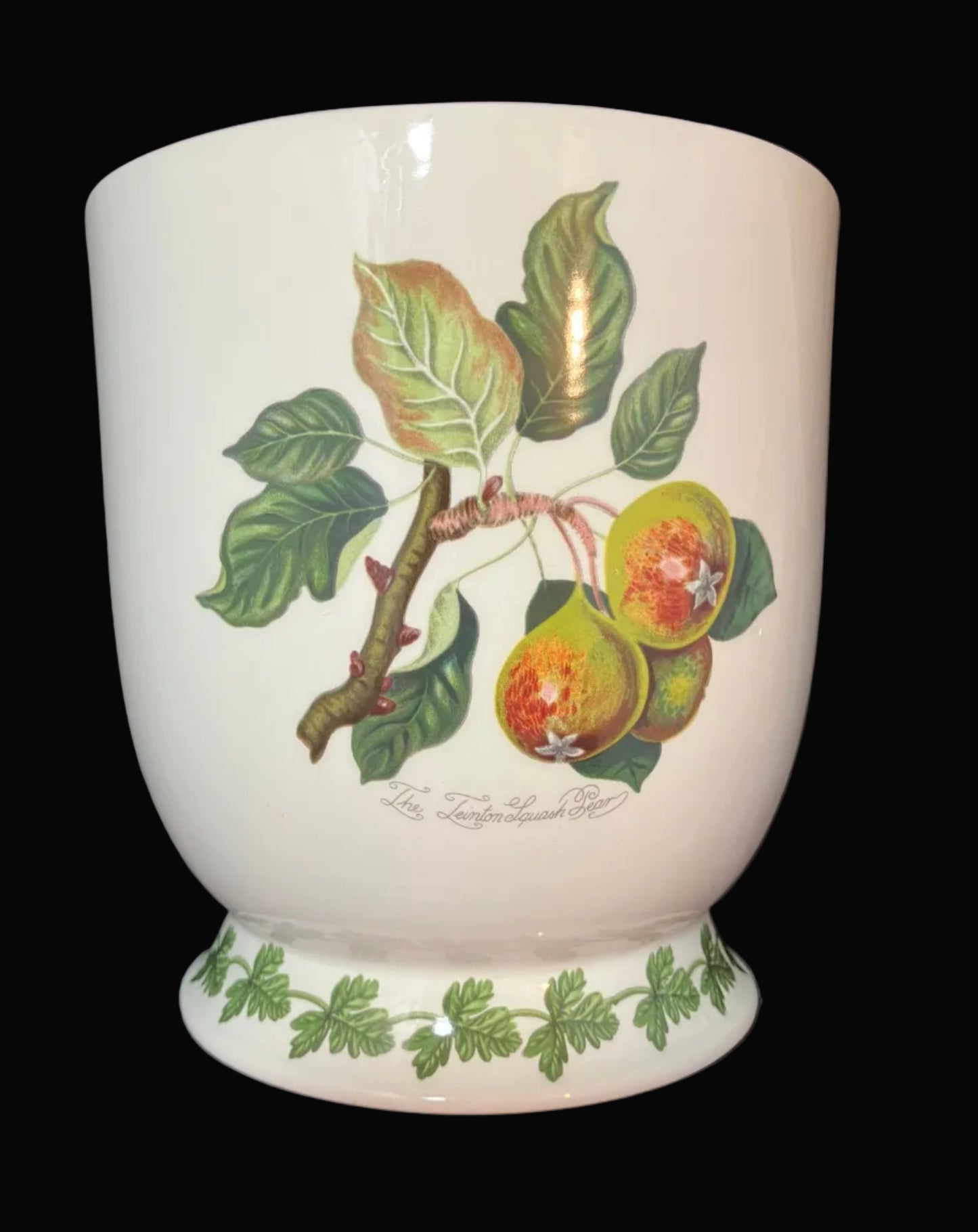 A white ceramic container with a footed base, decorated with a botanical illustration of green leaves and yellow-orange fruit on the side.