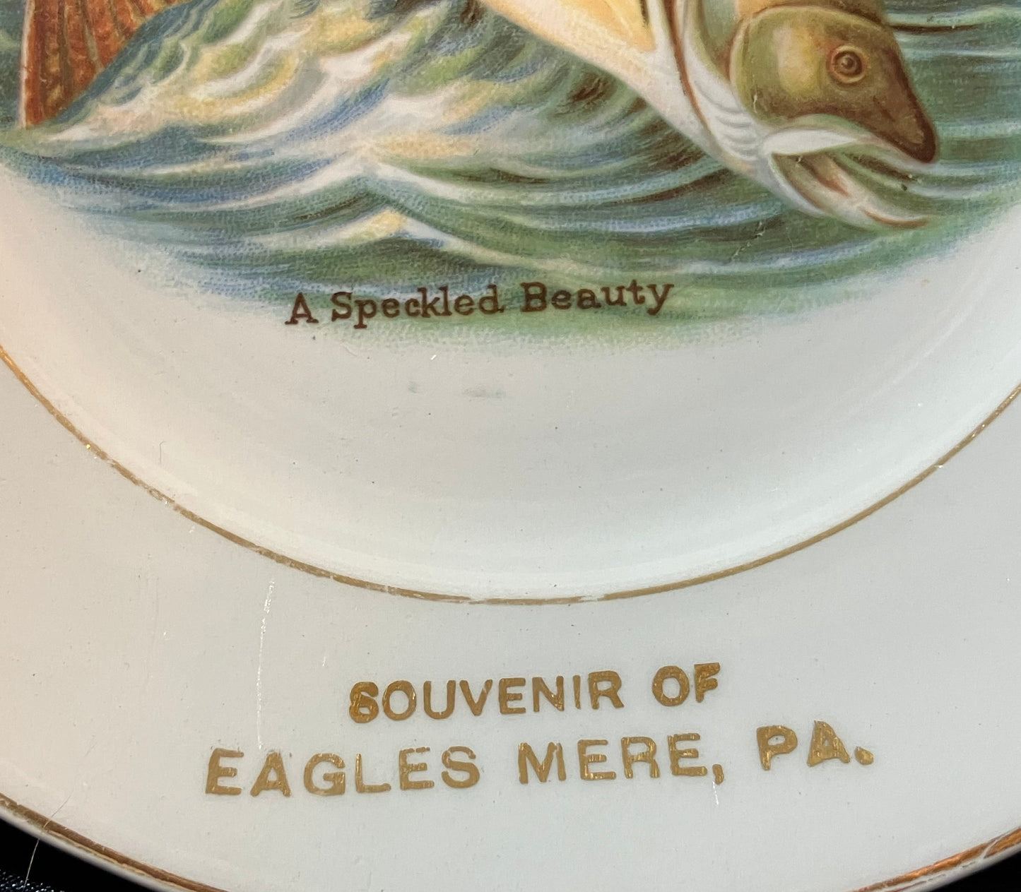 Close-up of a white ceramic souvenir plate with gold trim, featuring a painted fish in green-blue water and the text 'A Speckled Beauty' and 'SOUVENIR OF EAGLES MERE, PA.'.