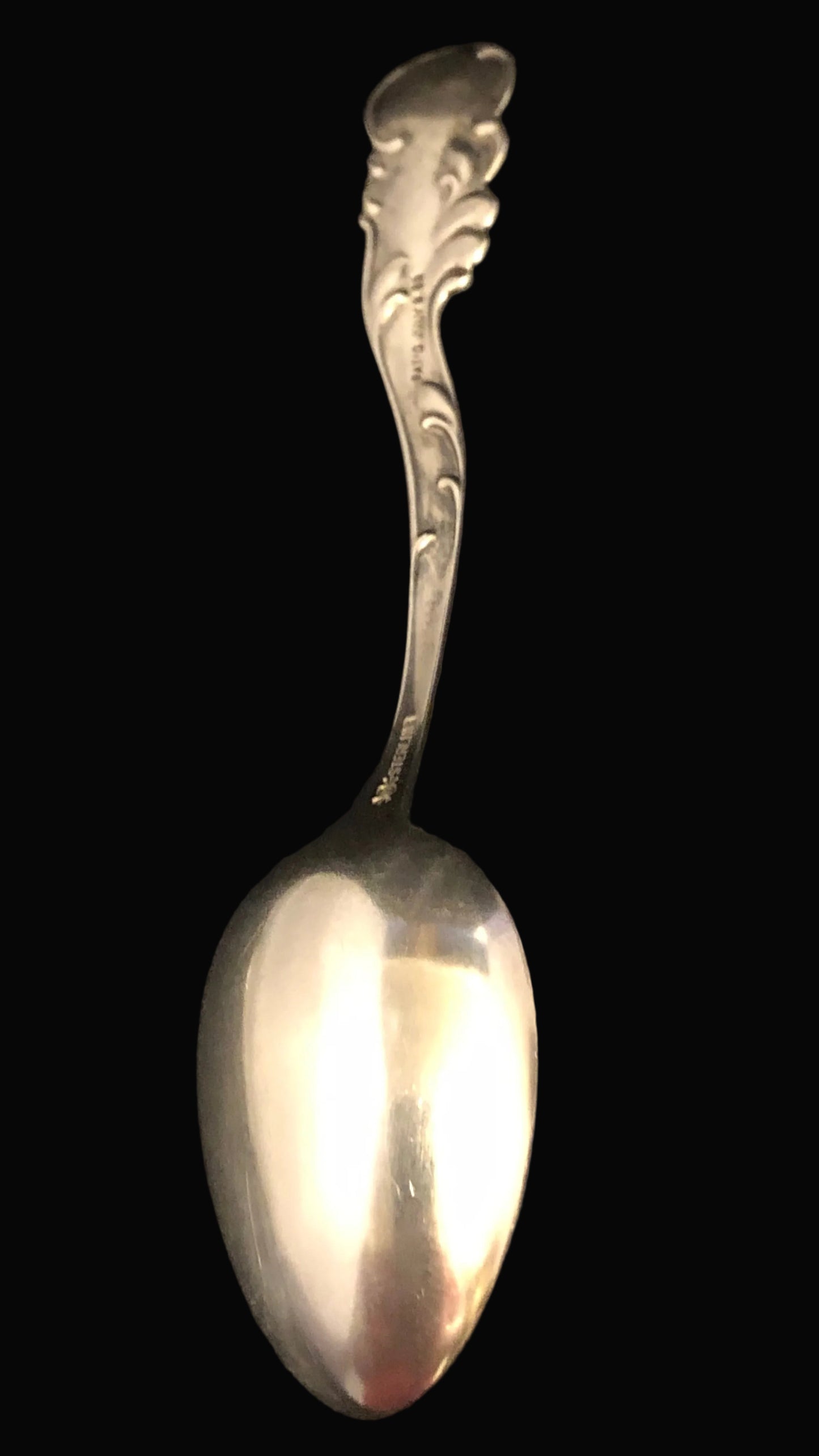 Antique Whiting Marquise Teaspoon – Sterling Silver – 1889 Pattern