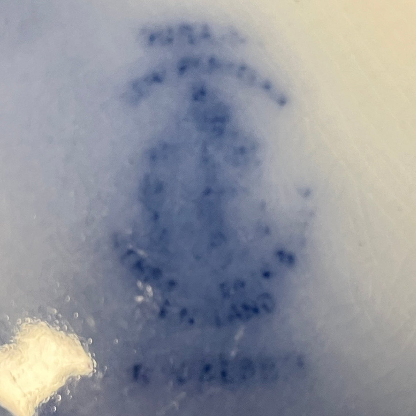 Antique Flow Blue Touraine Dinner Plate