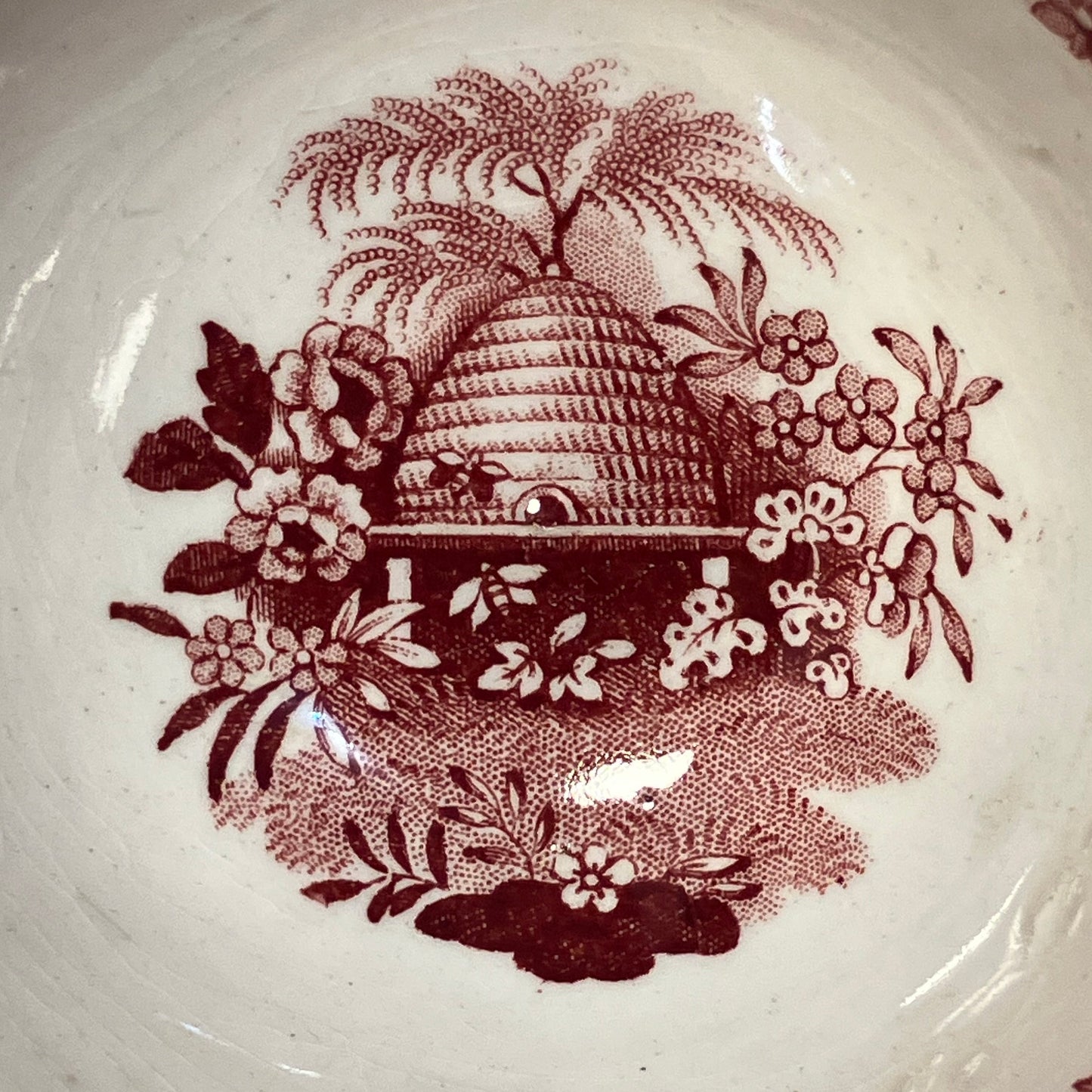 Close-up of a ceramic cup with red floral and leaf pattern on a white background