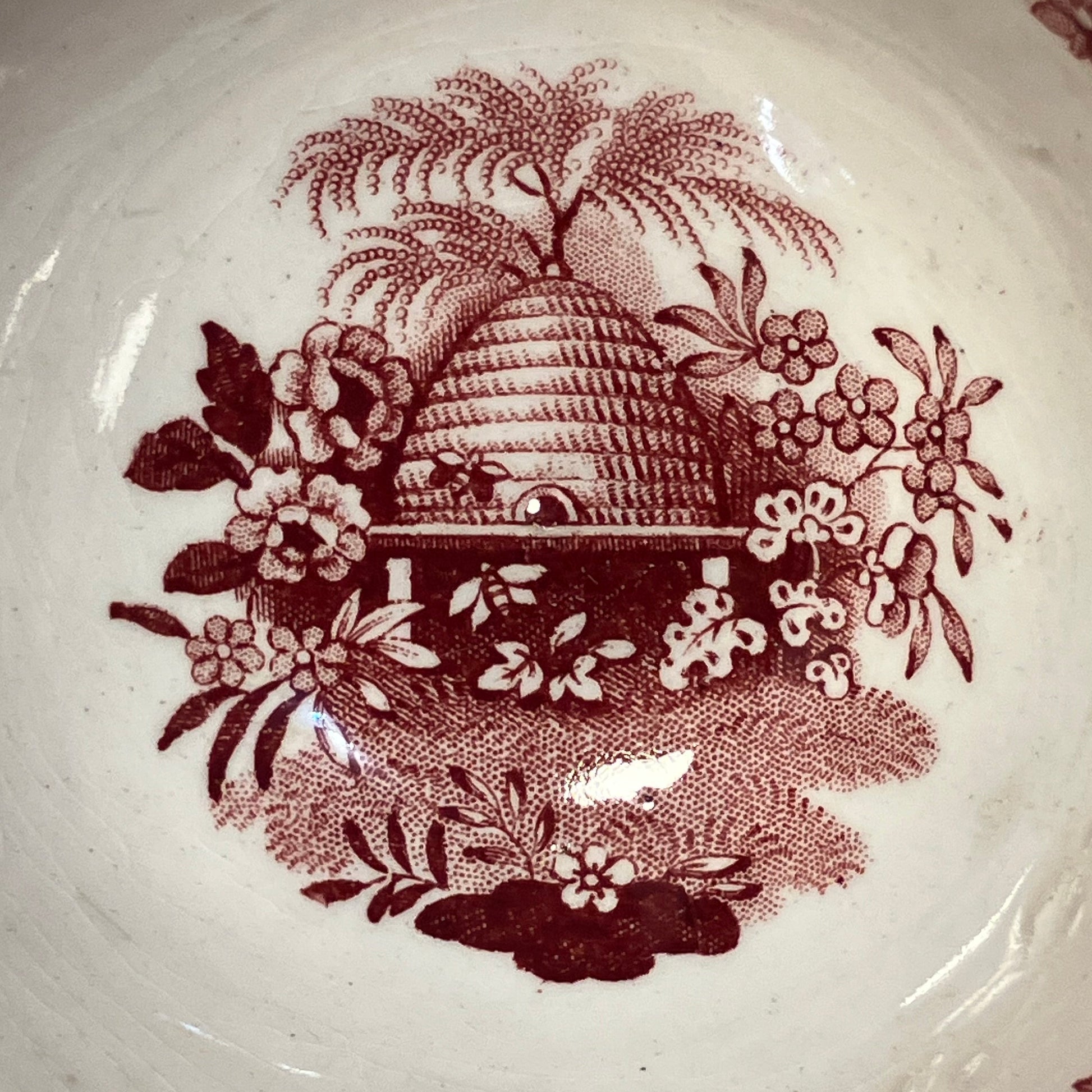 Close-up of a ceramic cup with red floral and leaf pattern on a white background