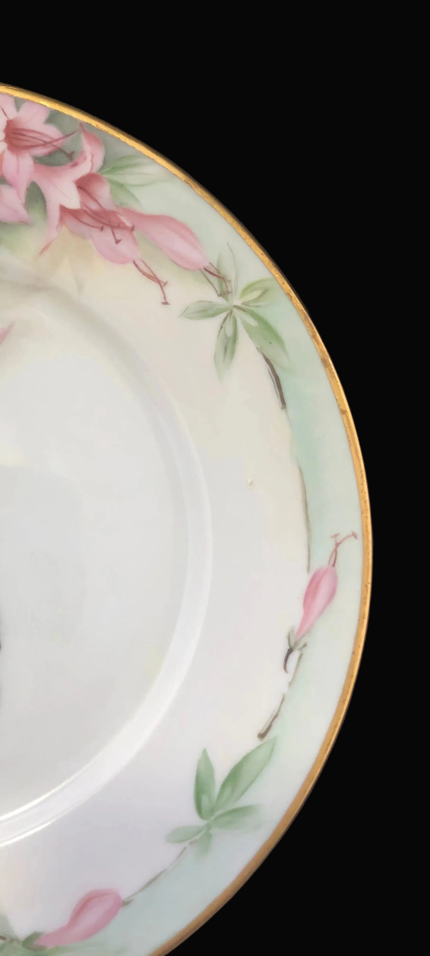 Antique Hand-Painted Porcelain Plate – Hutschenreuther Selb Bavaria