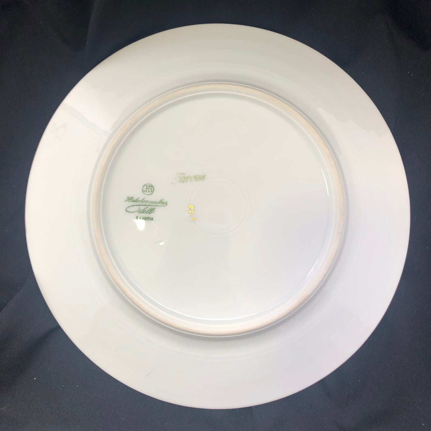Antique Hand-Painted Porcelain Plate – Hutschenreuther Selb Bavaria
