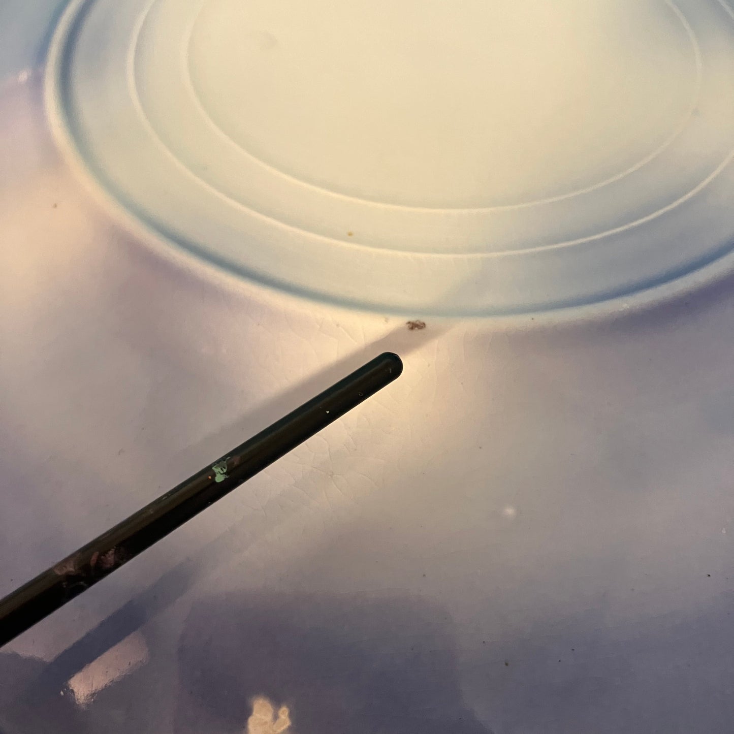 Antique Flow Blue Touraine Dinner Plate