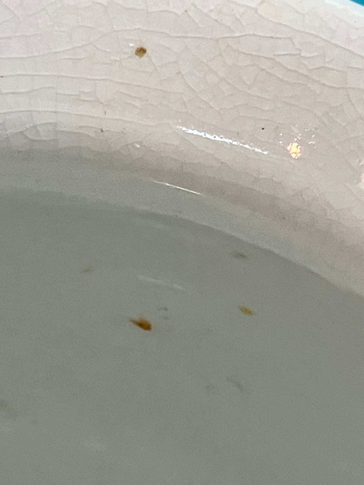 Antique Wallace & Chetwynd Ironstone Shaving Mug – Aesthetic Period, 1880s