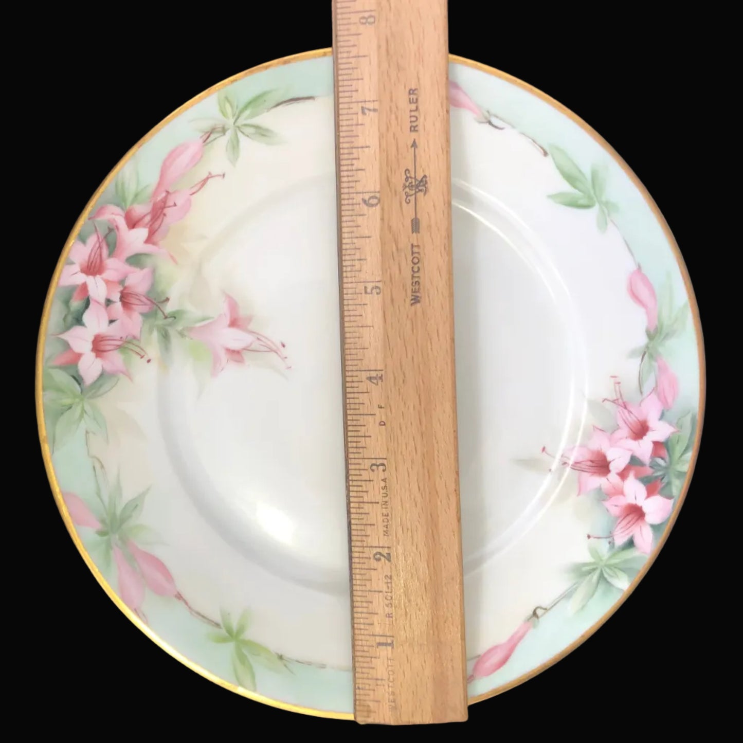 Antique Hand-Painted Porcelain Plate – Hutschenreuther Selb Bavaria