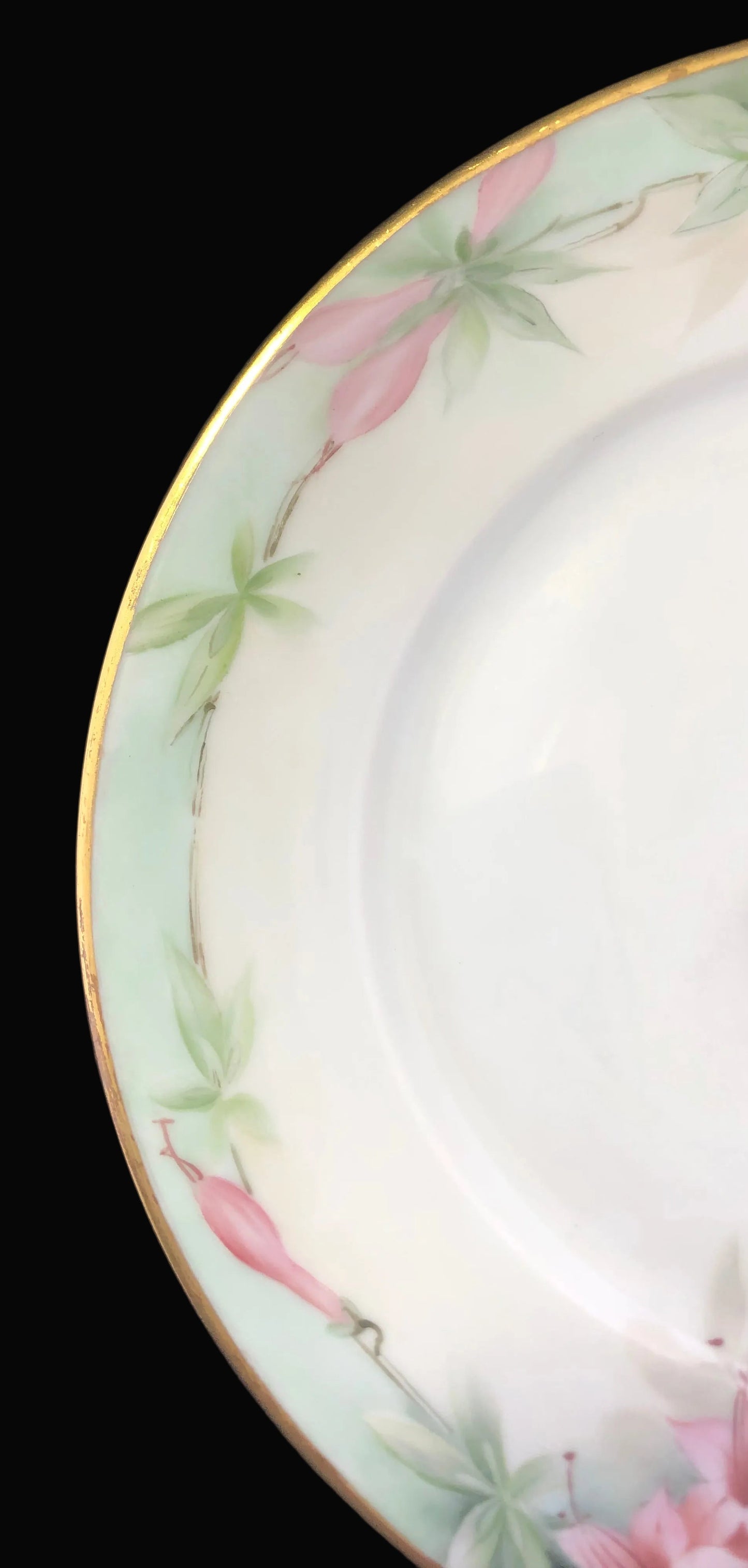 Antique Hand-Painted Porcelain Plate – Hutschenreuther Selb Bavaria
