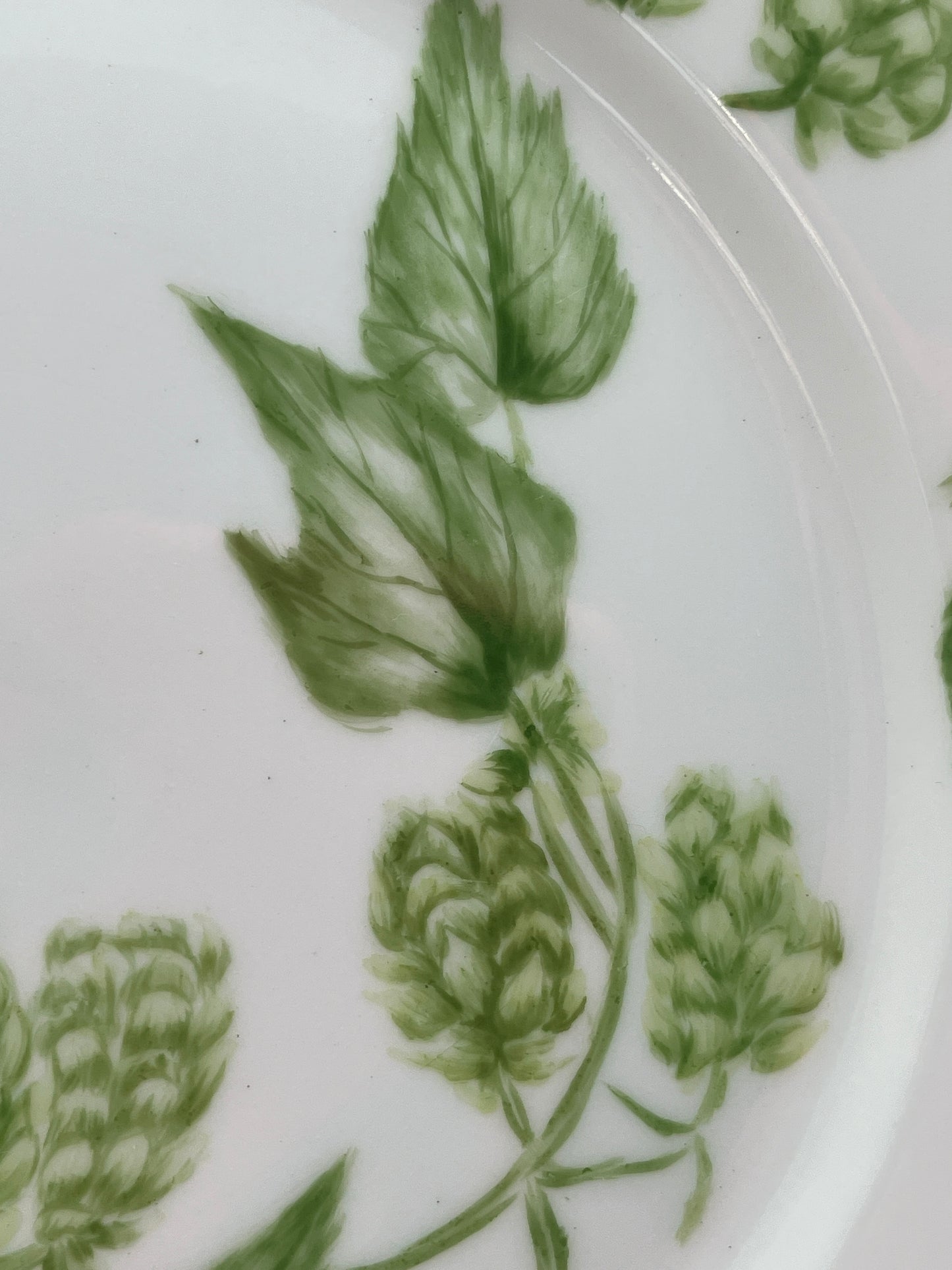 Antique Limoges Plate - Lewis Straus & Sons - Hops Design in Green - 8.5 Inches