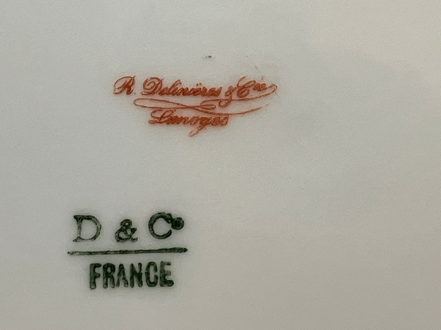 Antique Limoges Dinner Plate – R. Delinieres & Co