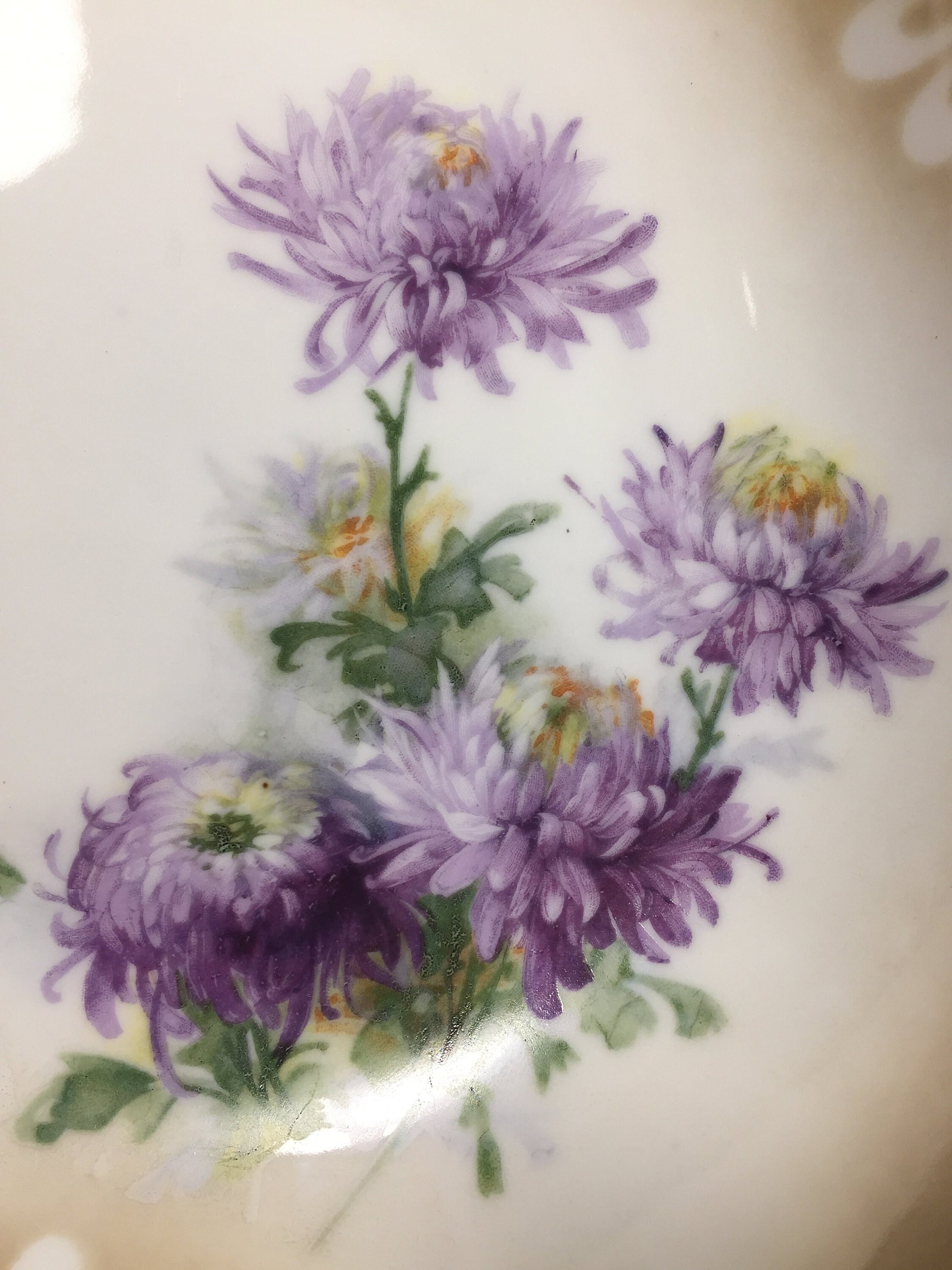 Antique Mums on Schirnding Porzellan A.G. of Bavaria Bowl