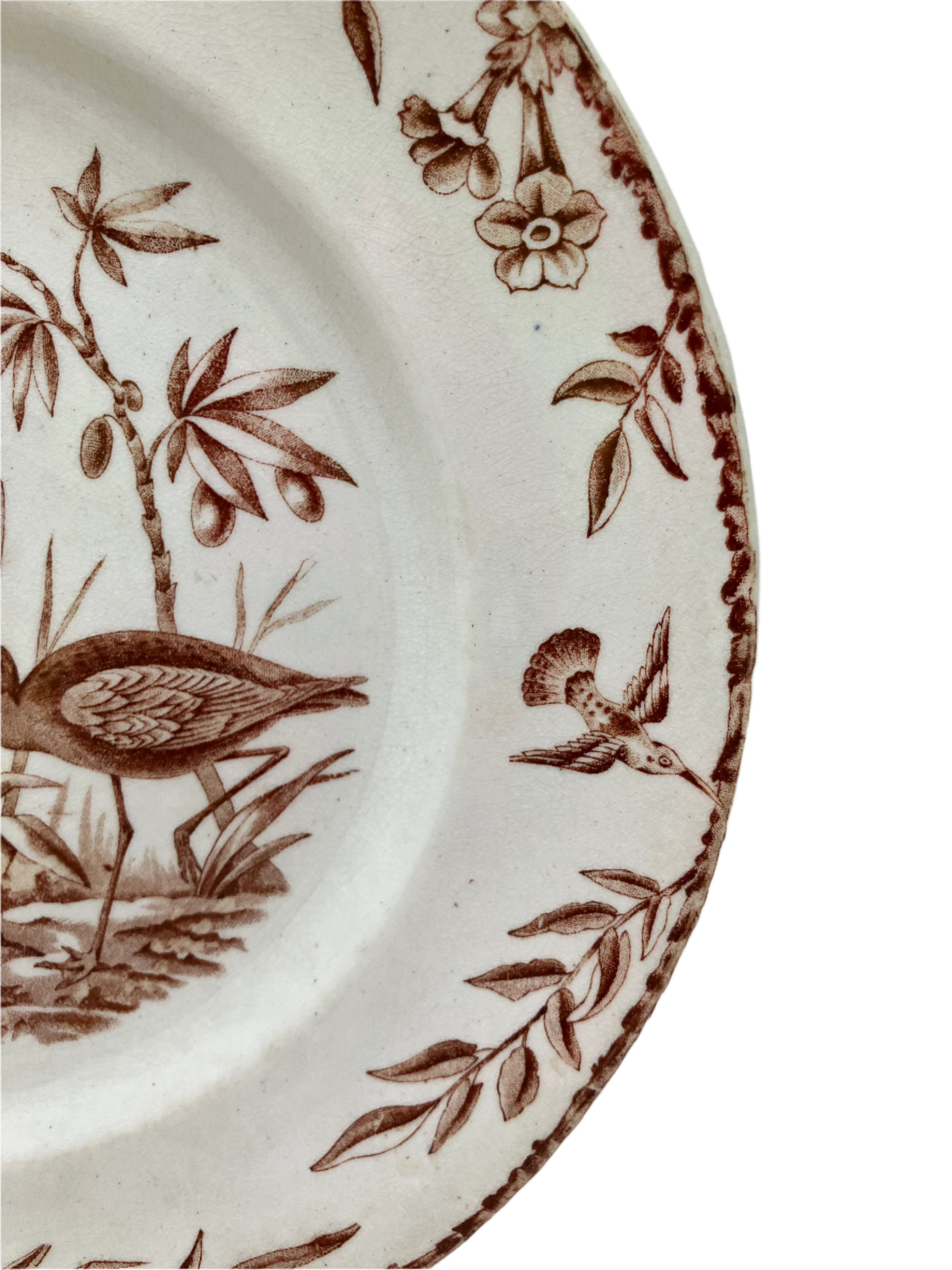 Antique Ridgeways Indus Aesthetic Movement Dinner Plate