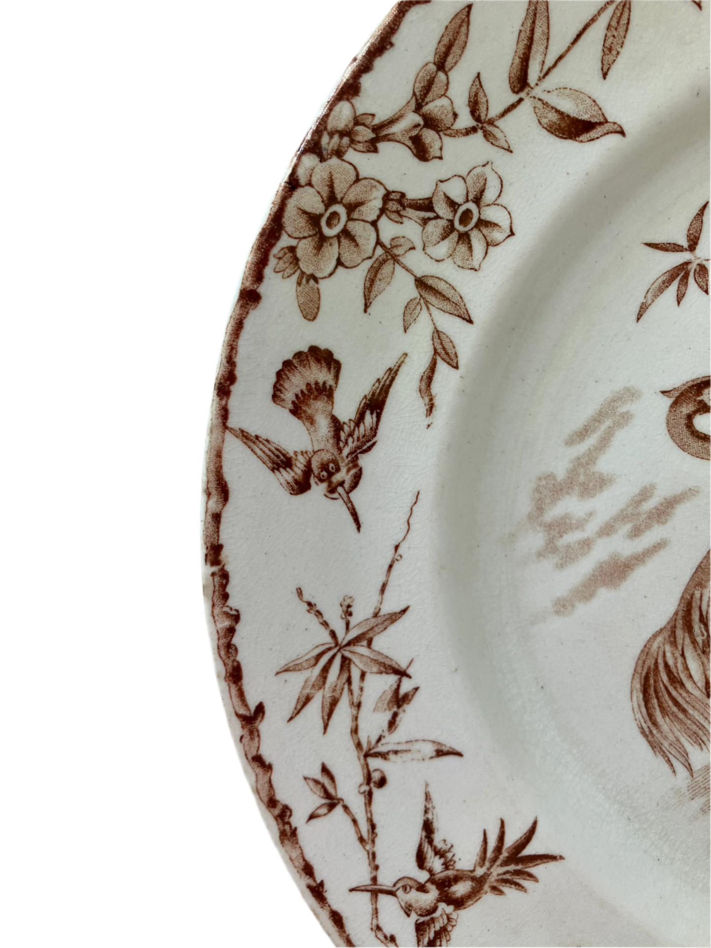 Antique Ridgeways Indus Aesthetic Movement Dinner Plate with Birds and Flowers 