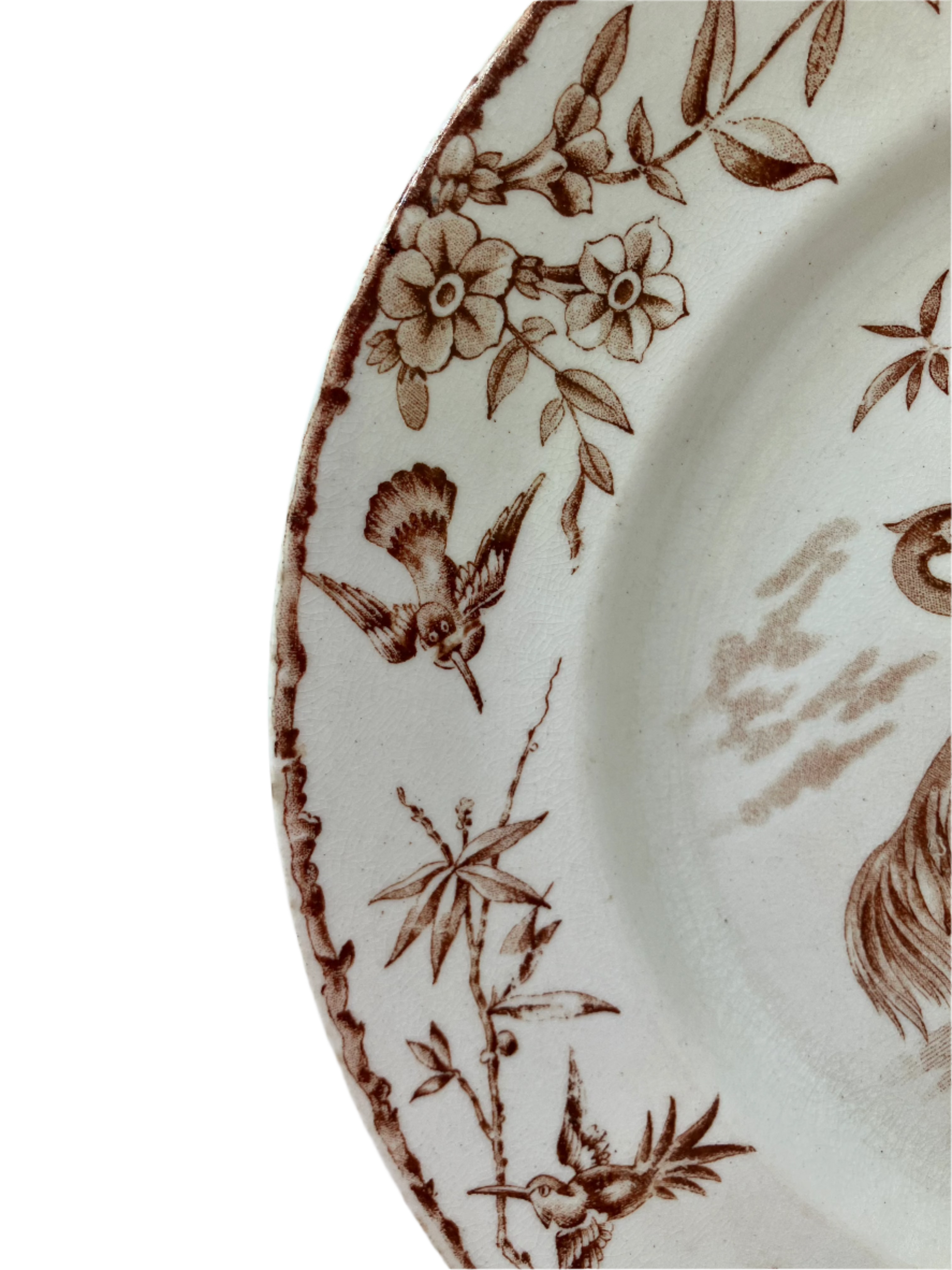 Antique Ridgeways Indus Aesthetic Movement Dinner Plate with Birds and Flowers 