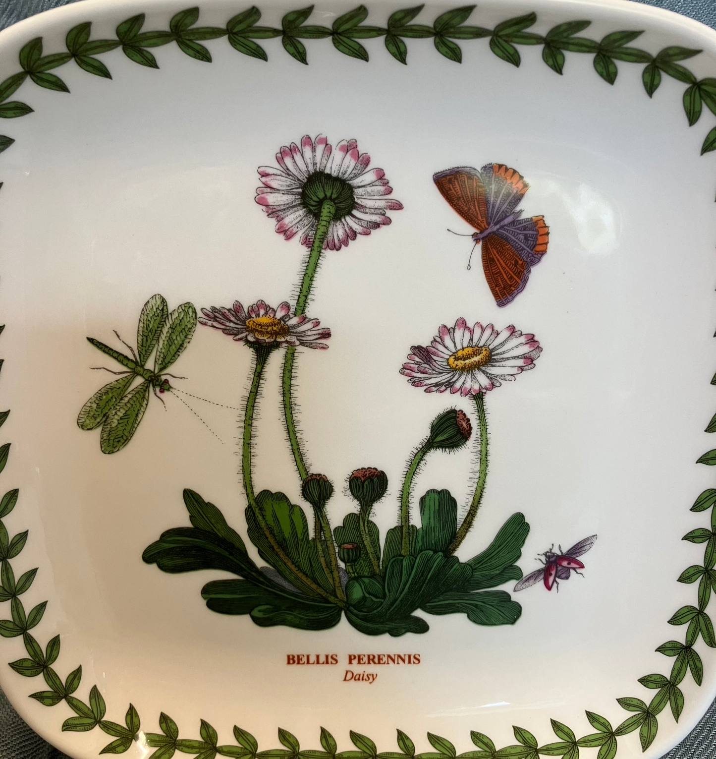 Decorative plate with floral and butterfly design on a white background