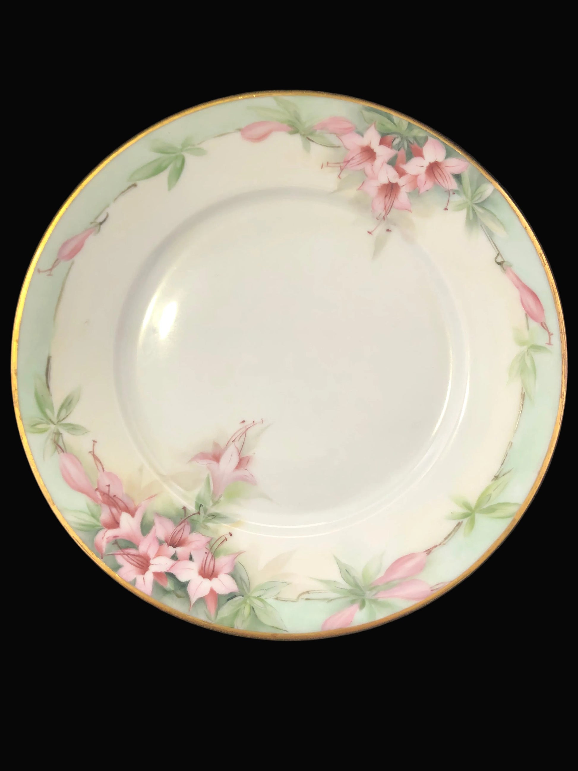 Antique porcelain plate by Hutschenreuther features a delicate hand-painted floral design with soft fuchsia-style flowers, mint green foliage, and elegant gold trim.