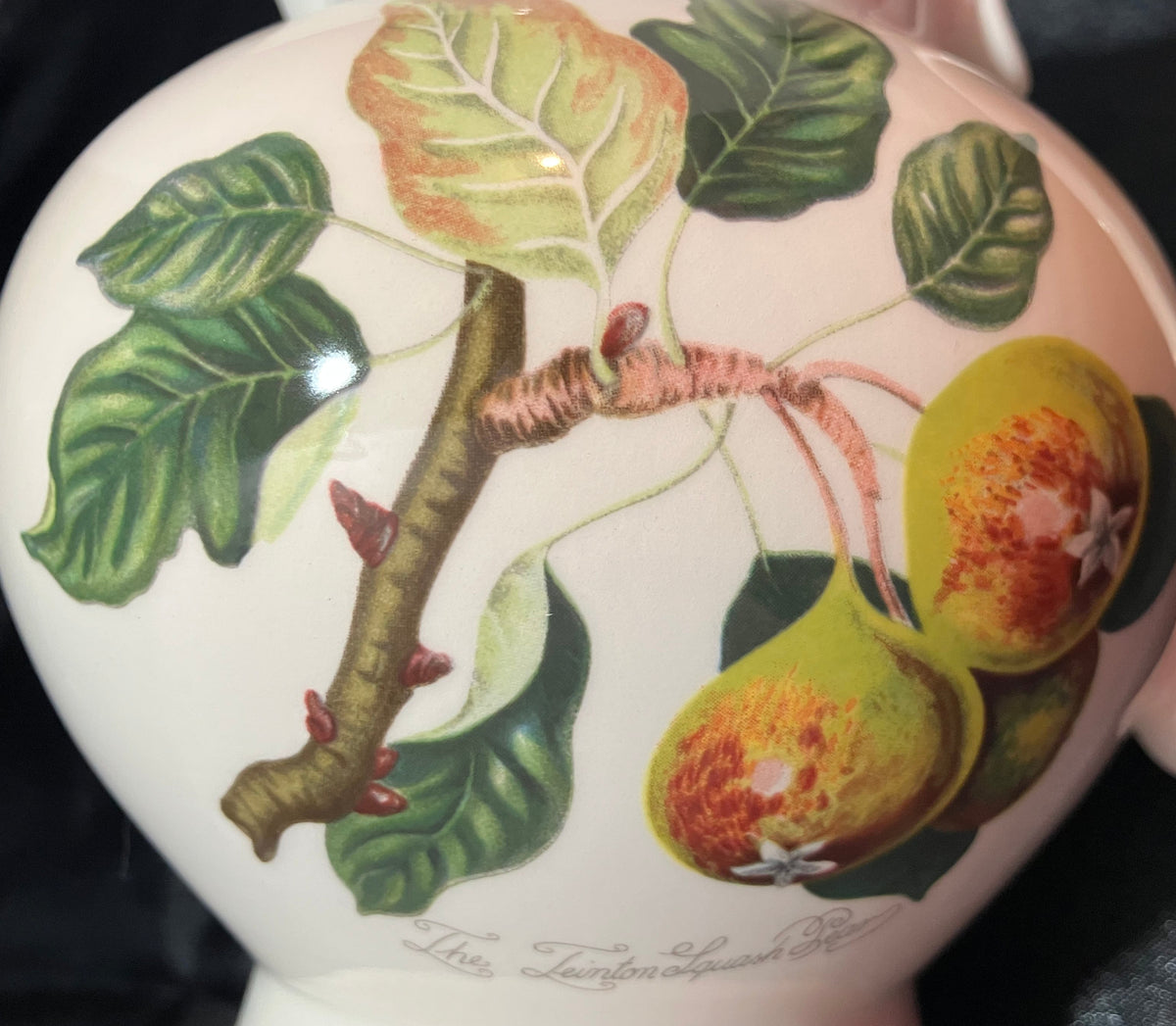 Close-up of a white ceramic teapot or pitcher decorated with a detailed botanical illustration of green leaves and two yellow-green pears with orange-red blush tones 