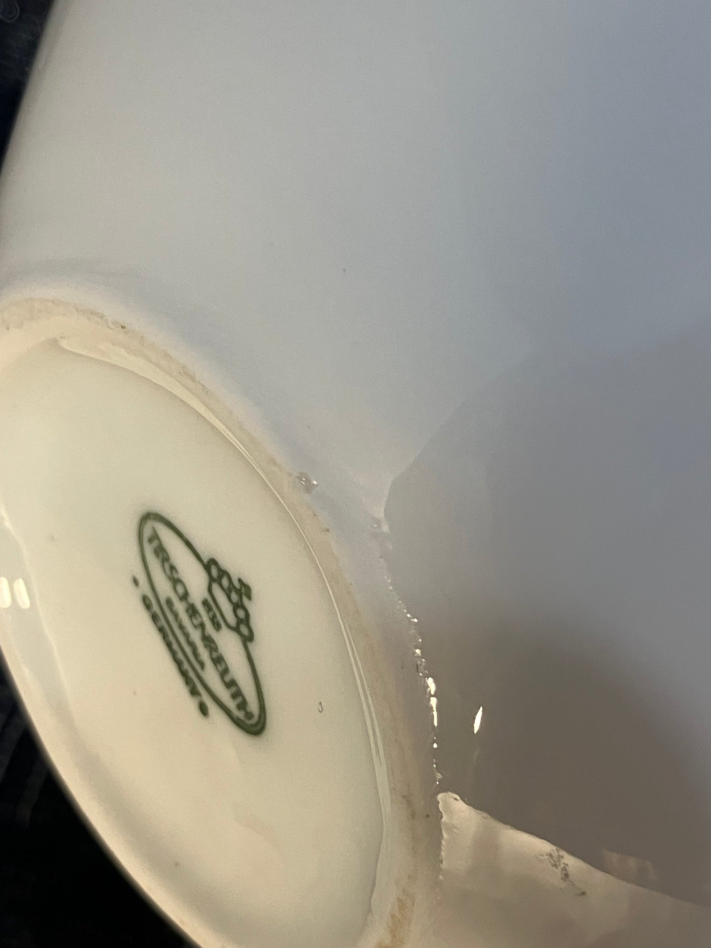 Mid Century Modern Hutschenreuther Tirschenreuth Bavaria Vase – Bird on Leaf