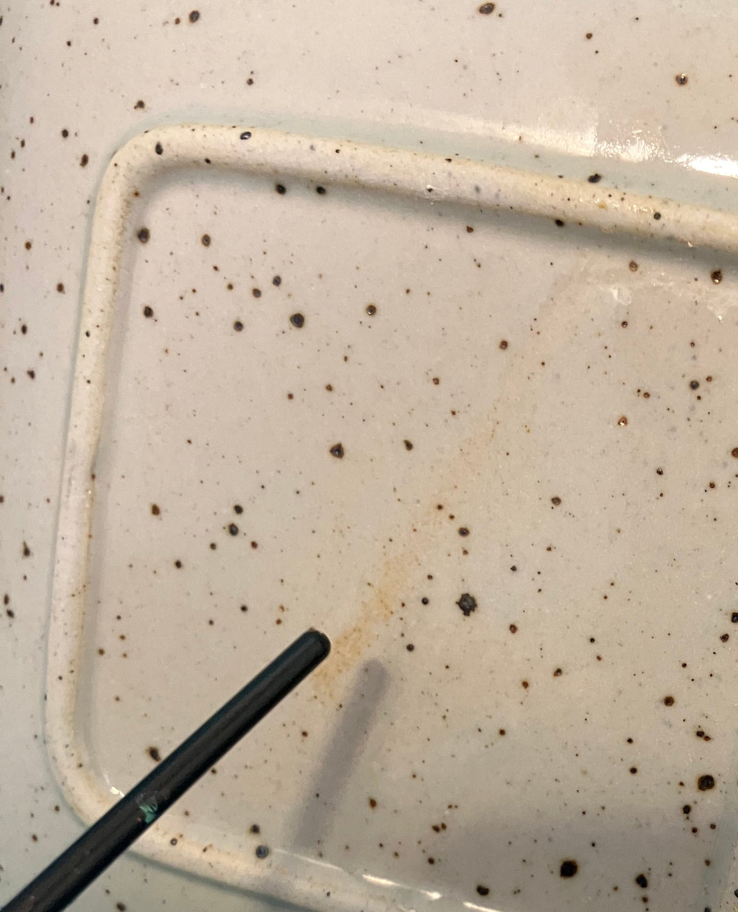 Speckled ceramic plate 