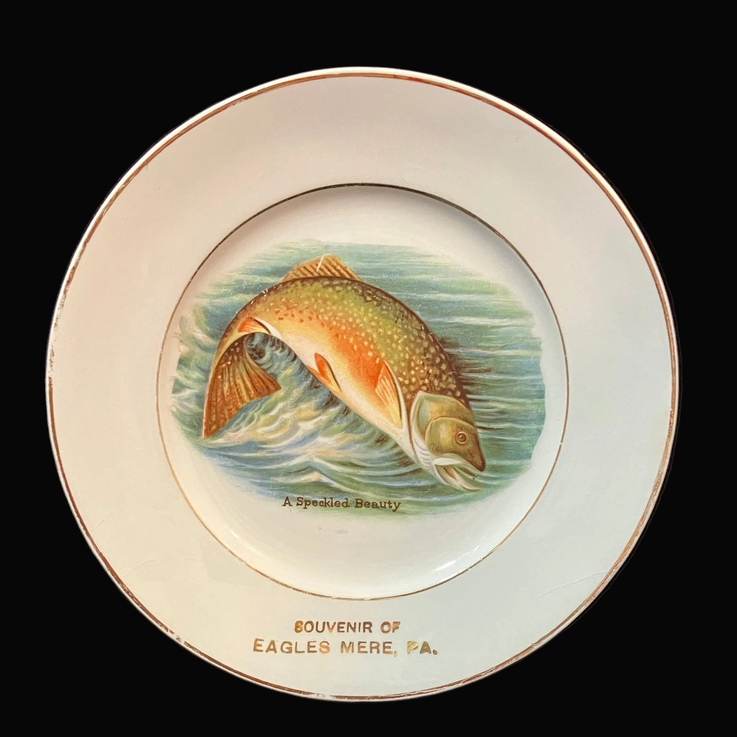 Antique Harker Pottery Eagles Mere PA Souvenir Plate – Speckled Beauty Trout – Early Semi Porcelain Fish Cabinet Plate