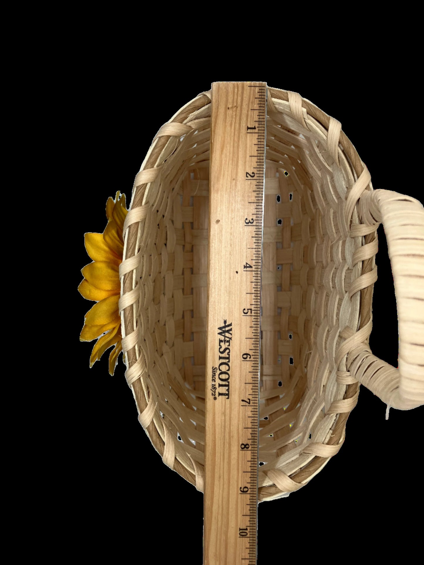 Hanging Basket with Sunflower width