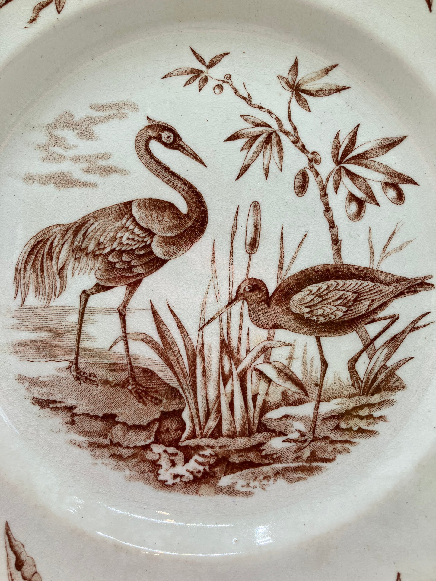 Heron or Crane with Cattails on Ridgeways Antique Plate 