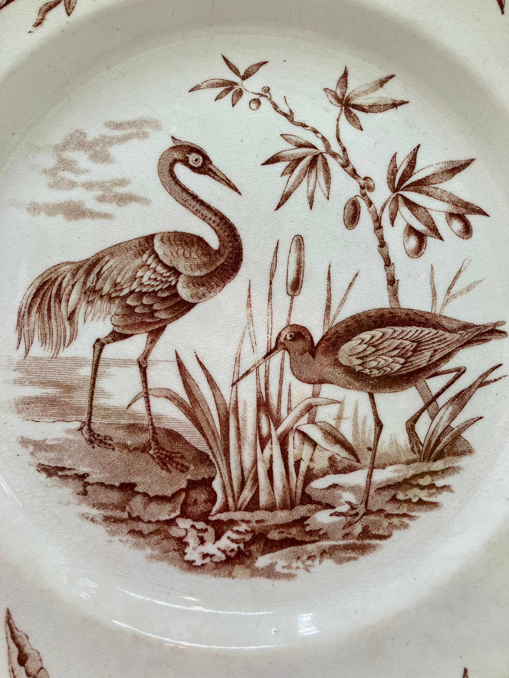 Heron or Crane with Cattails on Ridgeways Antique Plate 
