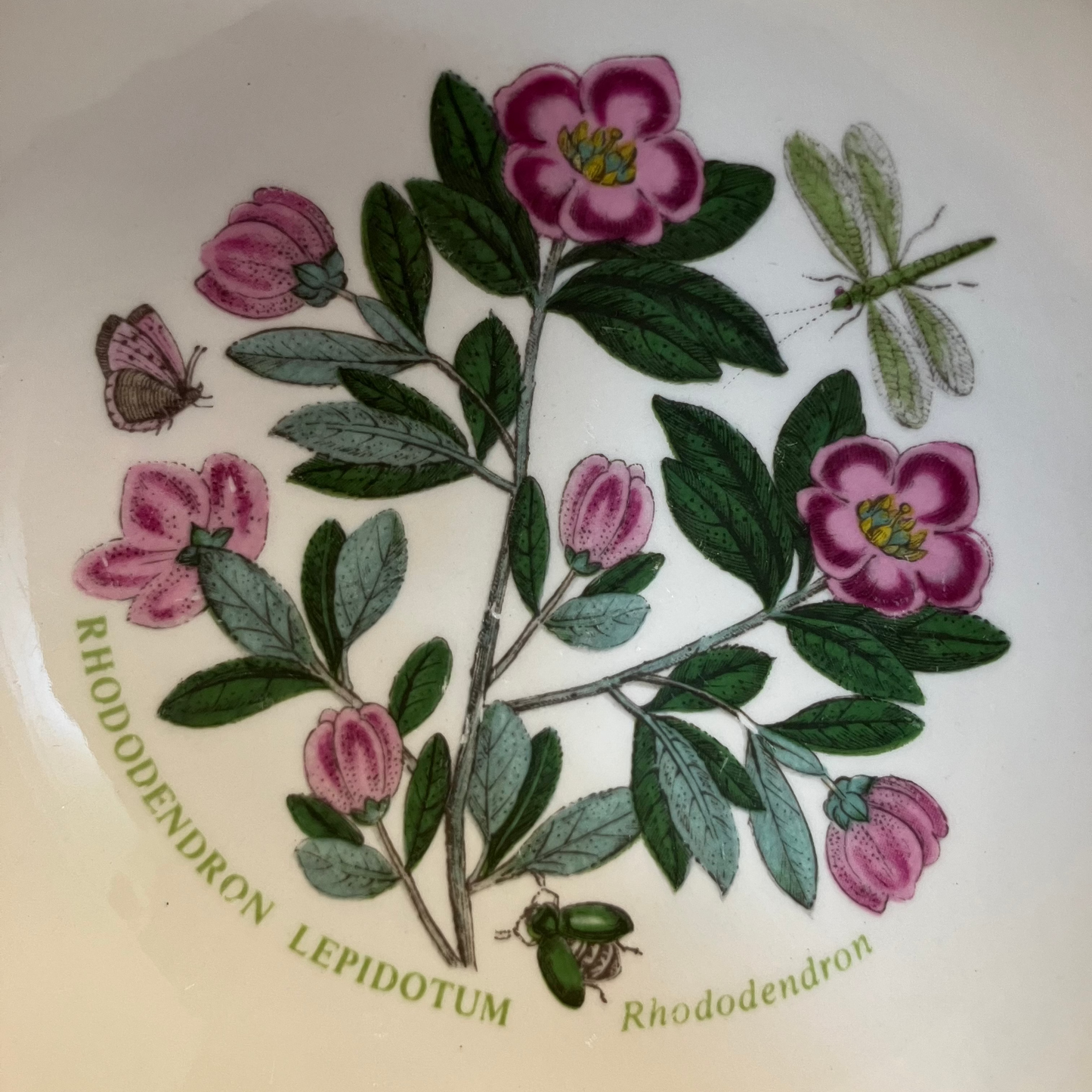 Vintage Portmeirion Botanic Garden Footed Bowl – Rhododendron